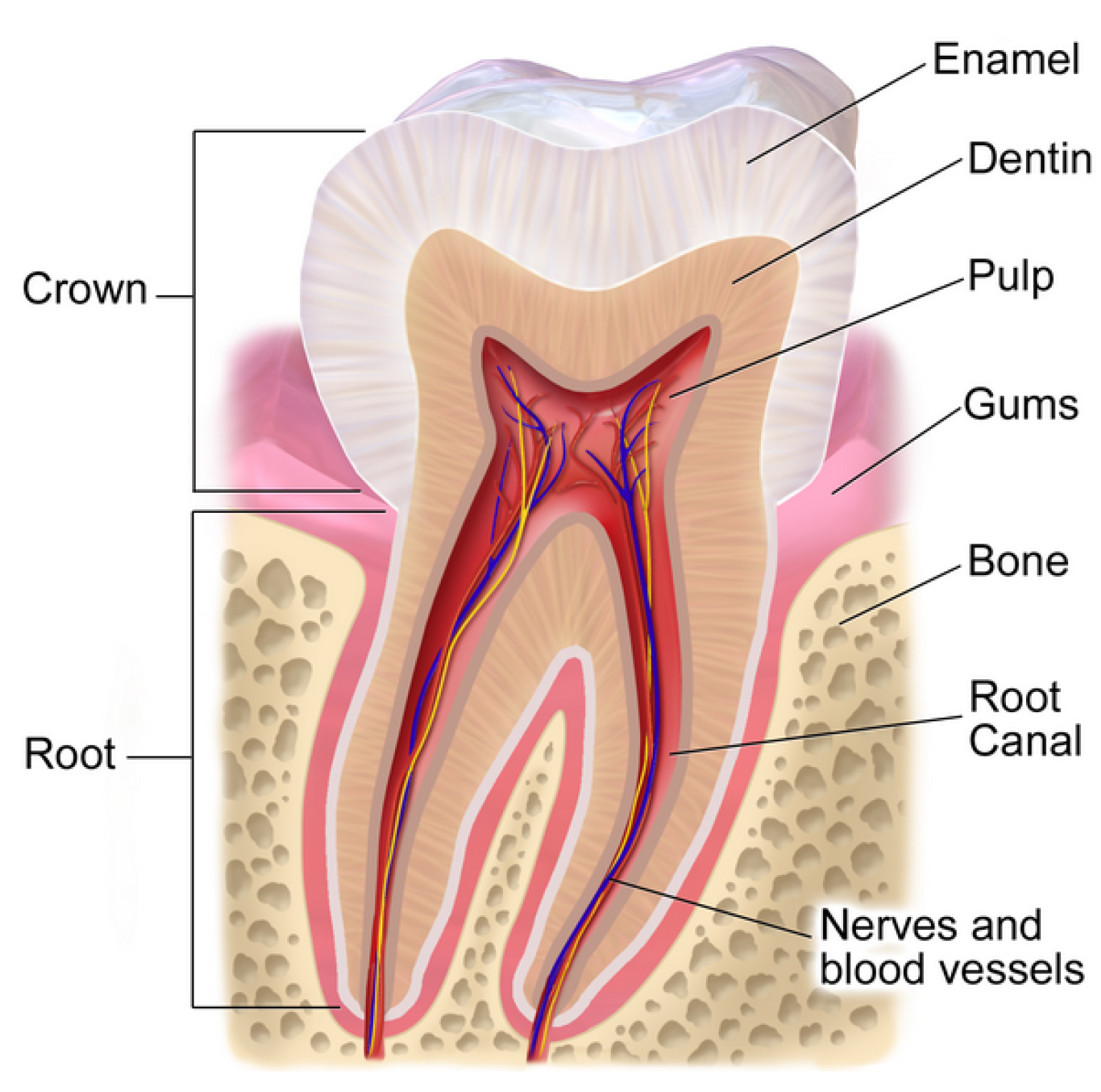 Entropy 22 01117 g001