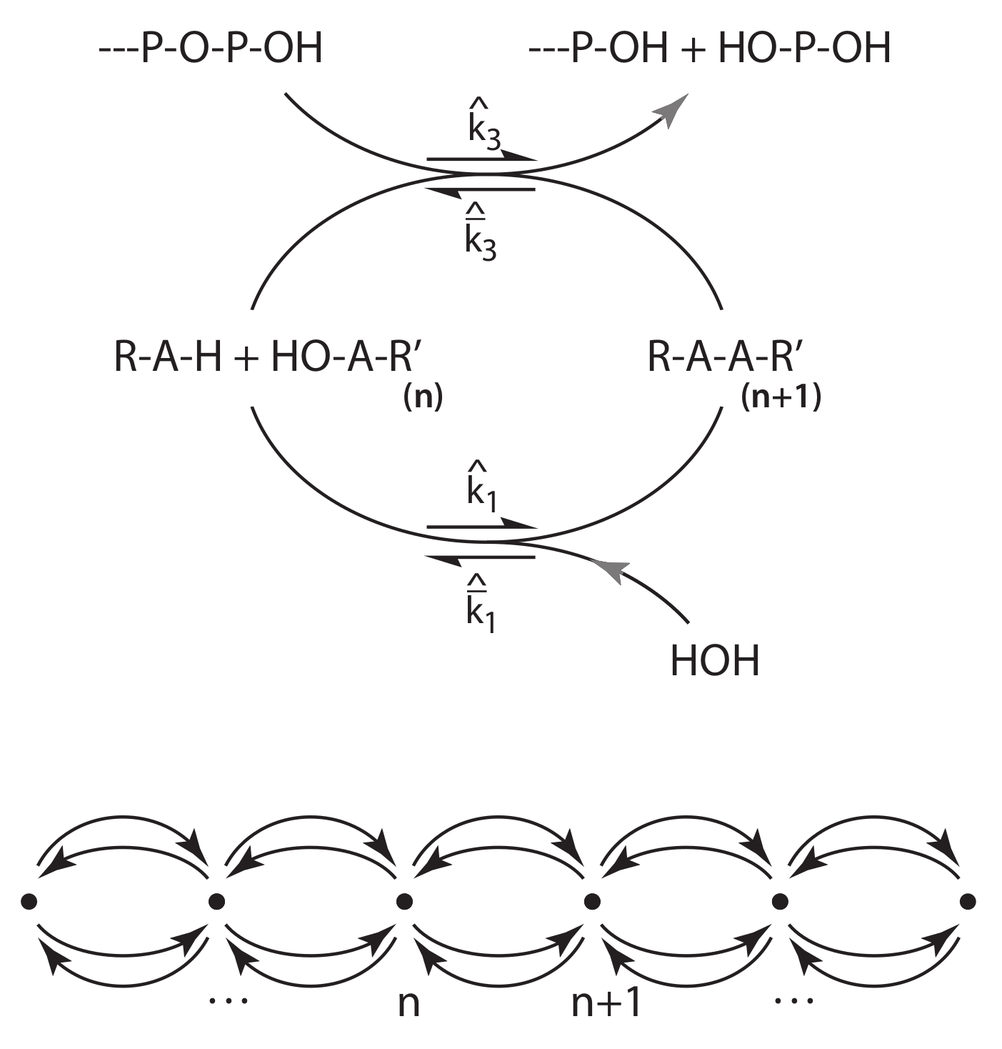 Entropy Free Full Text Intrinsic And Extrinsic Thermodynamics For Stochastic Population Processes With Multi Level Large Deviation Structure Html