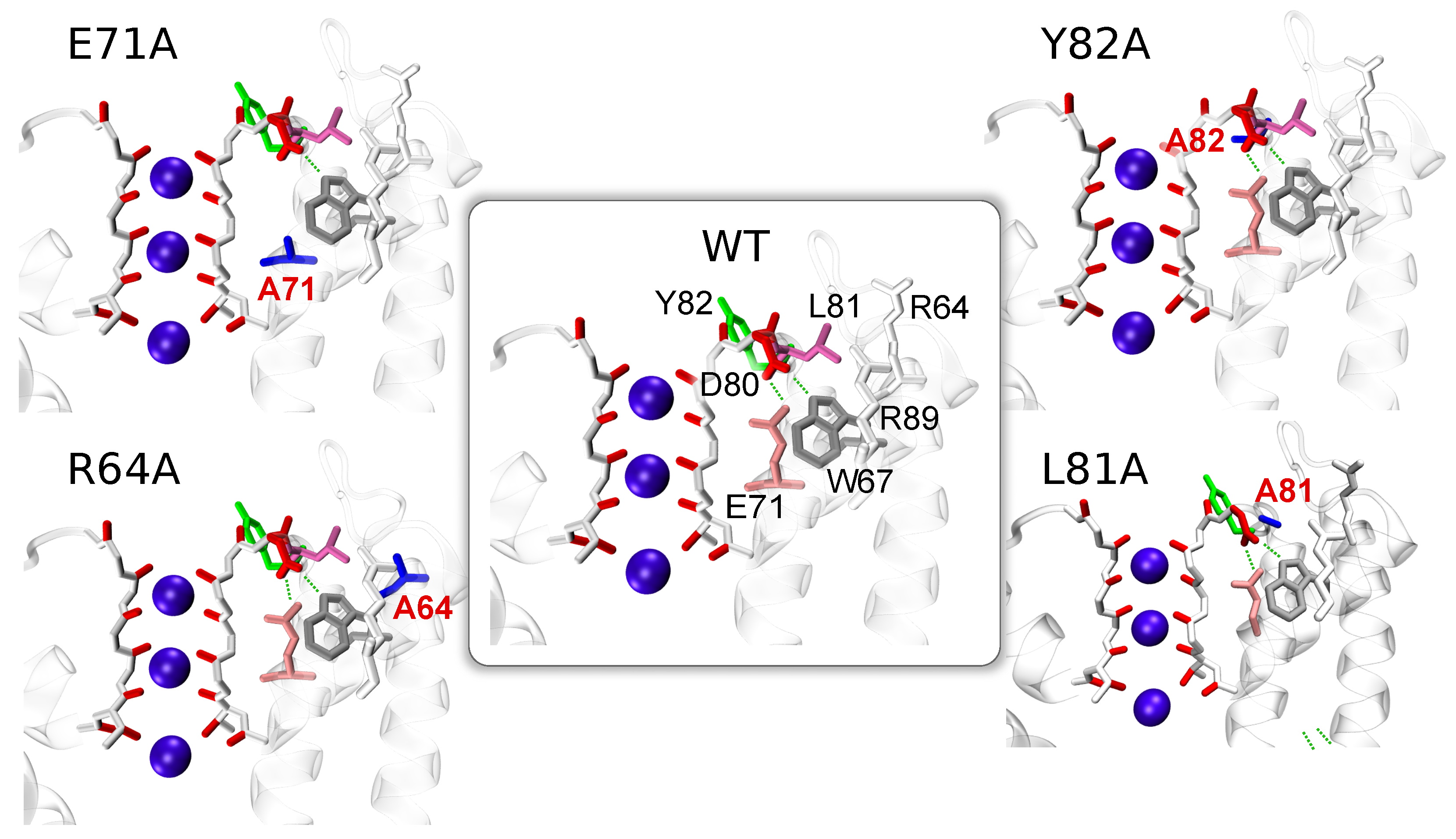 Entropy 23 00072 g001