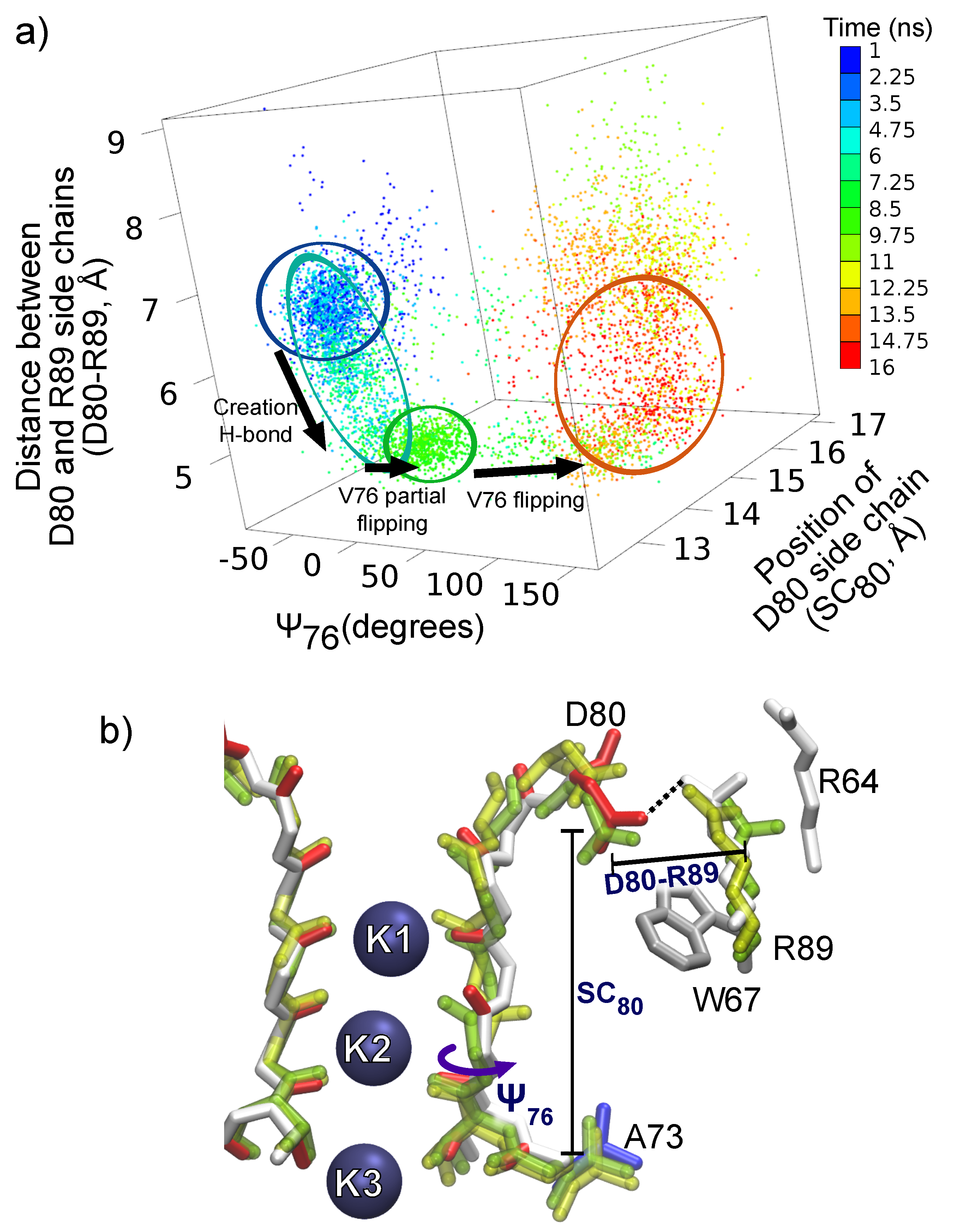 Entropy Free Full Text Unraveling Of A Strongly Correlated Dynamical Network Of Residues Controlling The Permeation Of Potassium In Kcsa Ion Channel Html