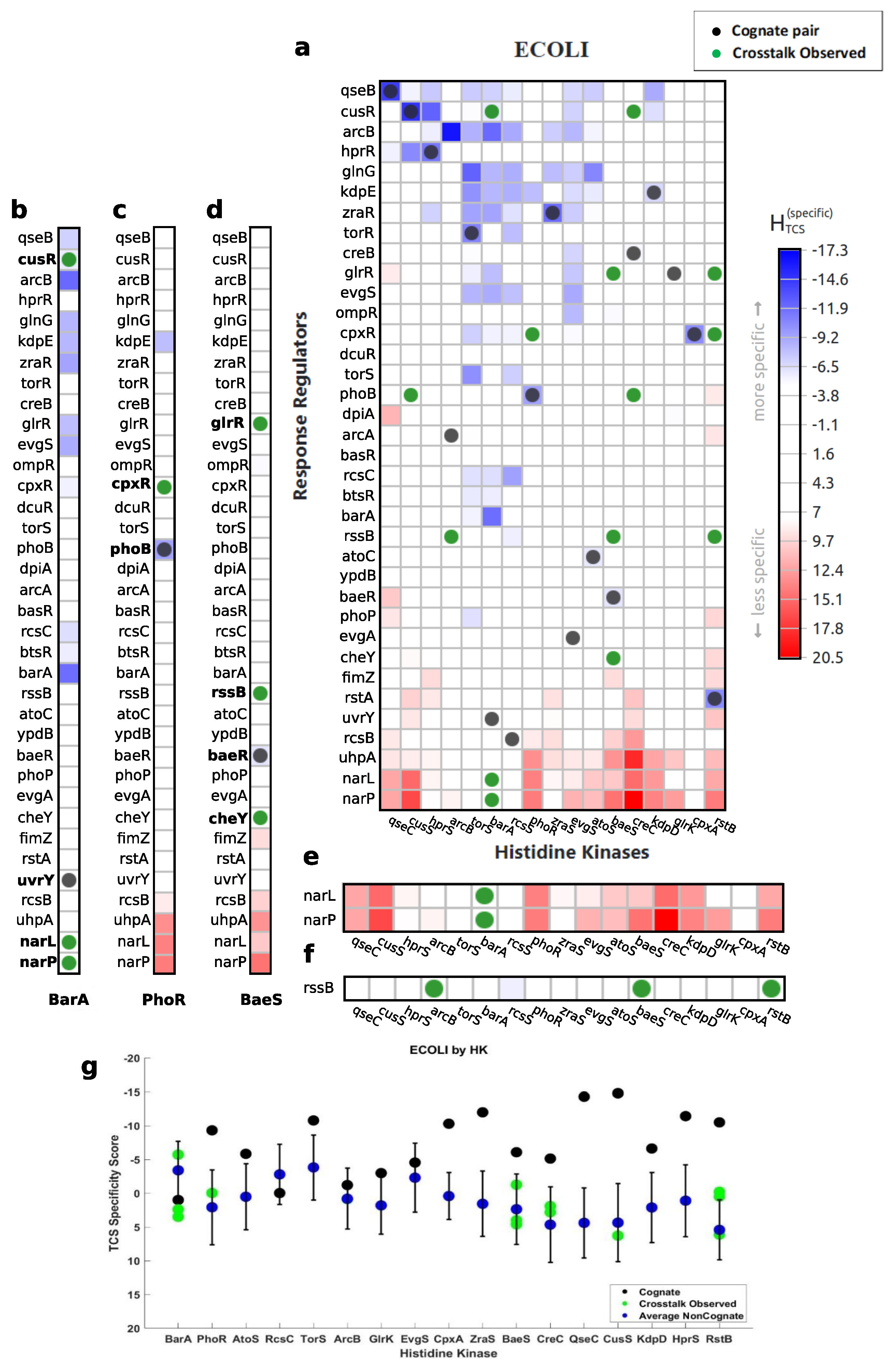 Entropy 23 00170 g006