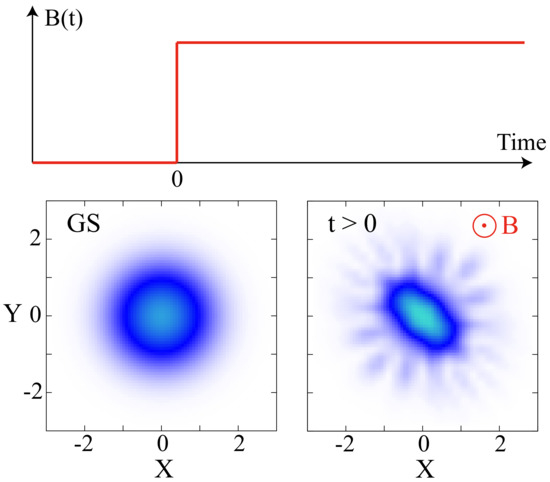 Entropy Free Full Text Dynamics Of Ultracold Bosons In Artificial Gauge Fields Angular Momentum Fragmentation And The Variance Of Entropy Html