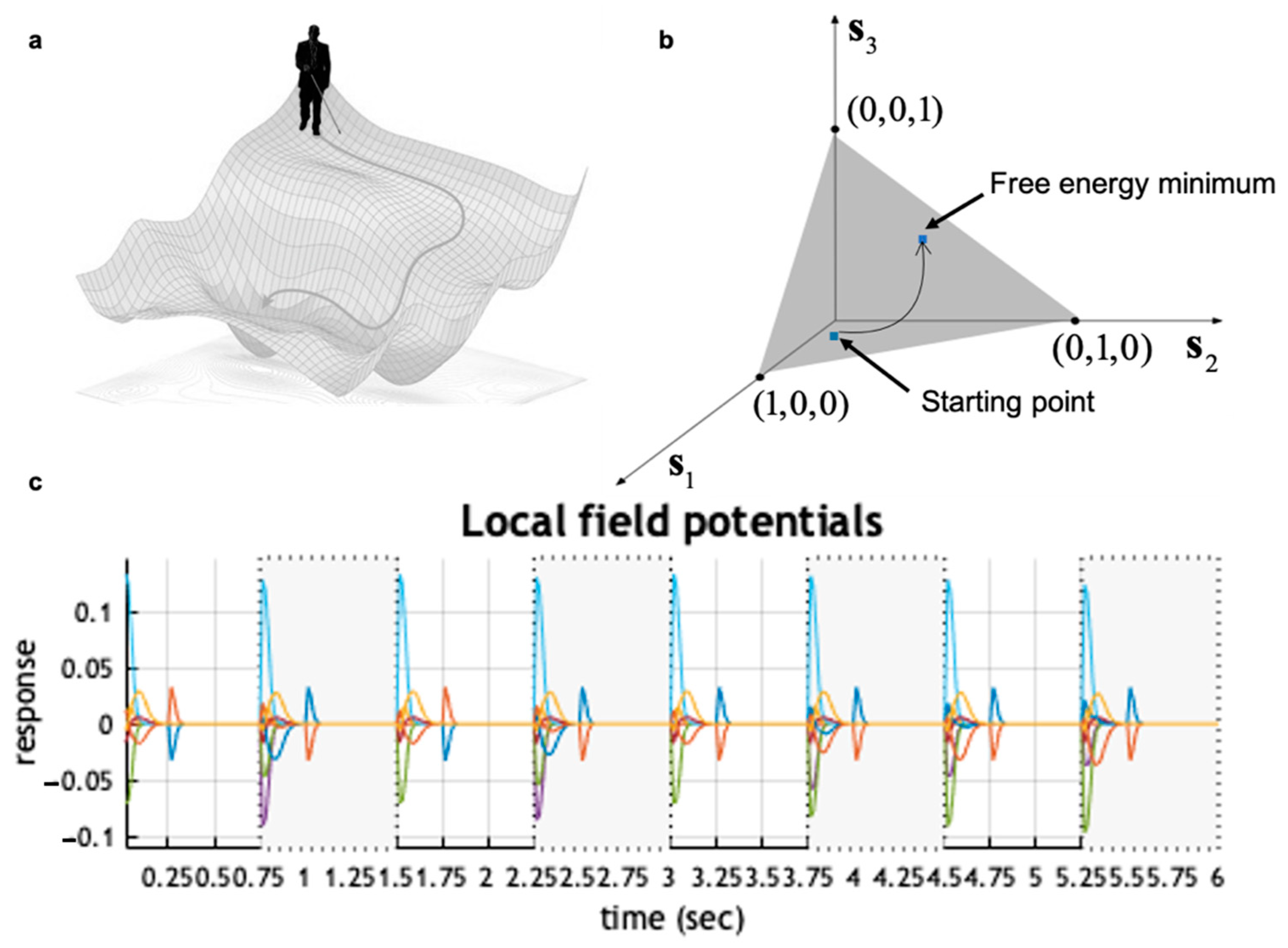 Dynamics of Visual Perceptual Decision-Making in Freely Behaving