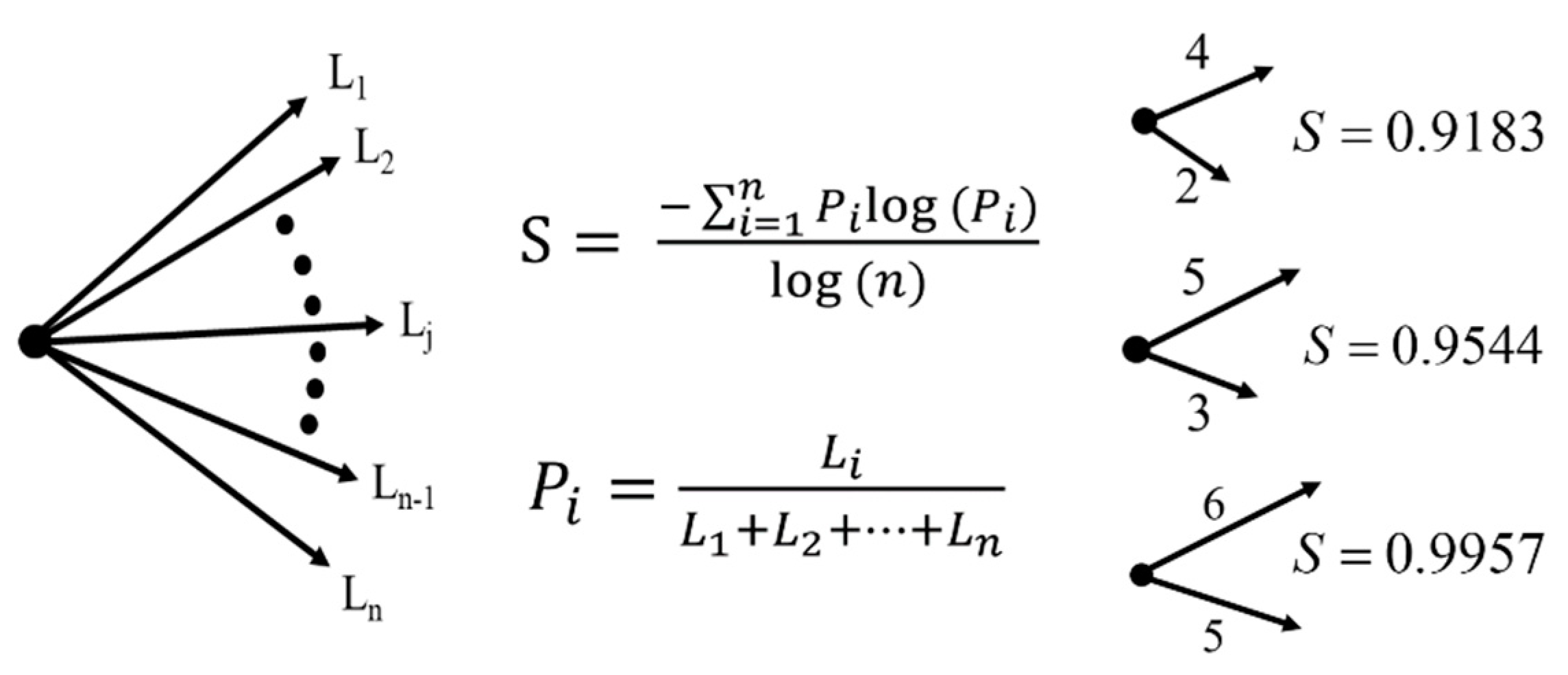 Entropy 23 00480 g001 Entropy 23 00480 g001