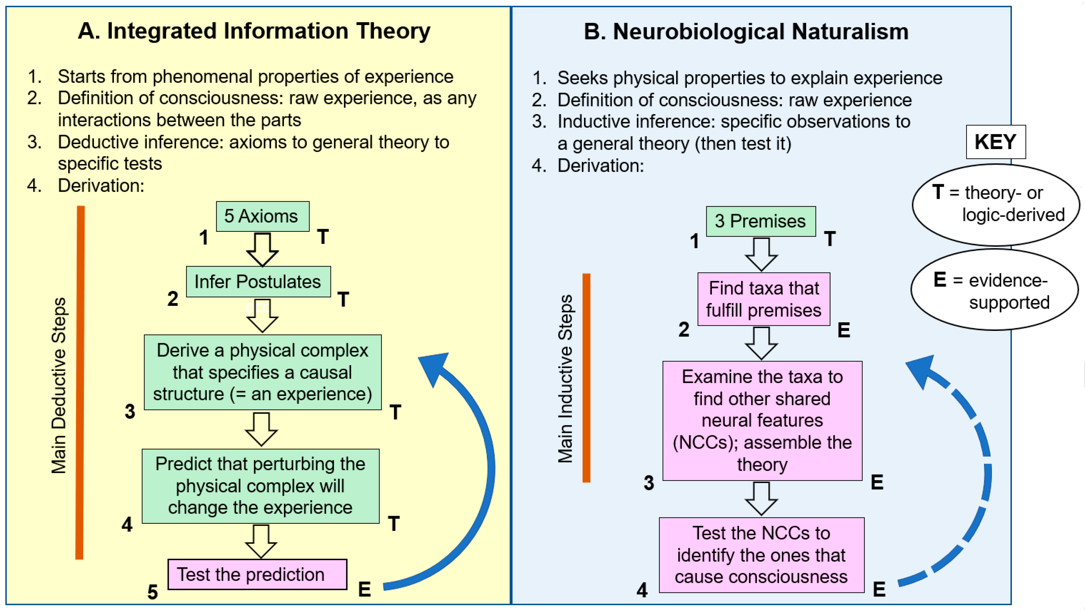 Entropy Free Full Text A Traditional Scientific Perspective On The Integrated Information Theory Of Consciousness Html