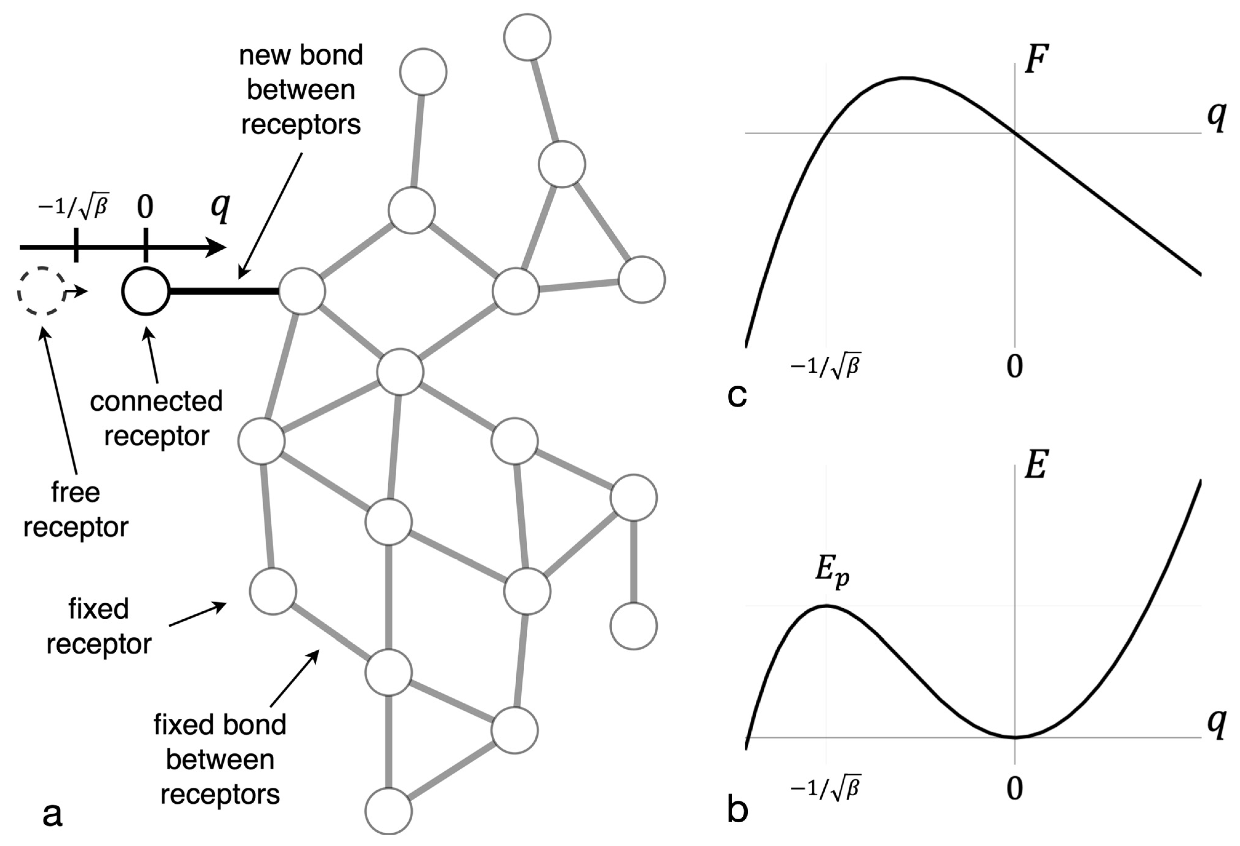 Entropy 23 01245 g001