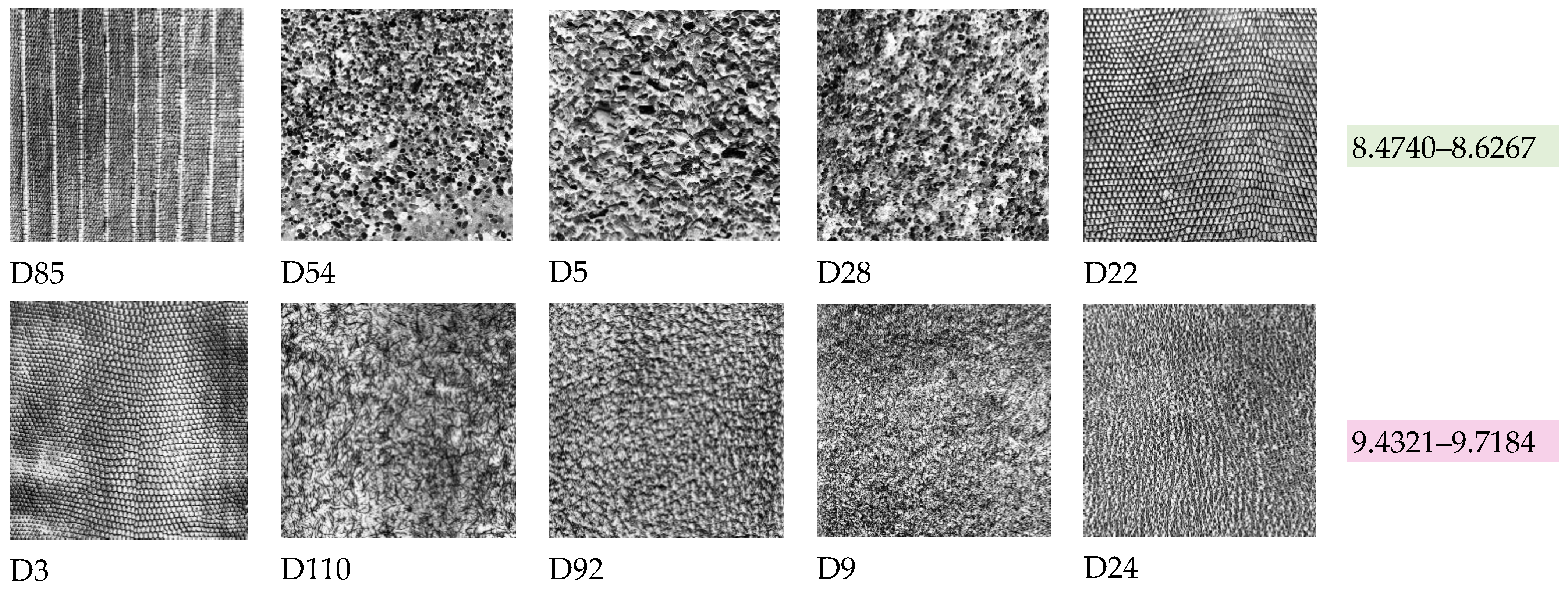 Entropy 23 01261 g006b