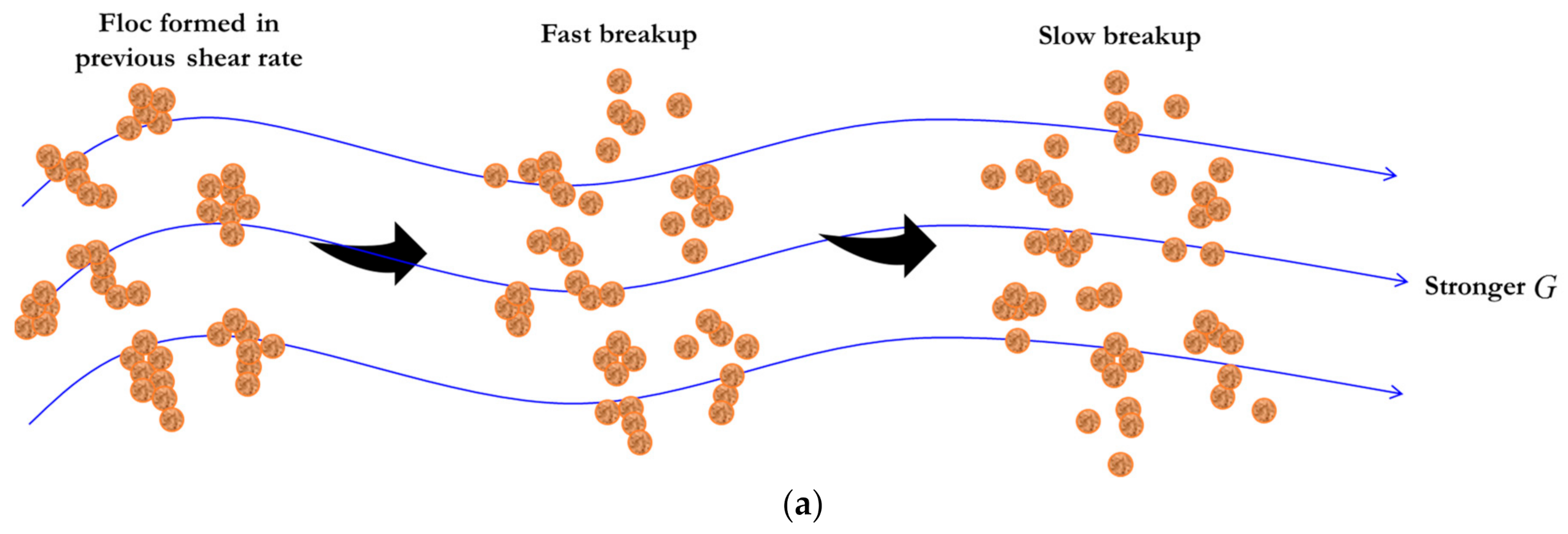Entropy 23 01263 g002a