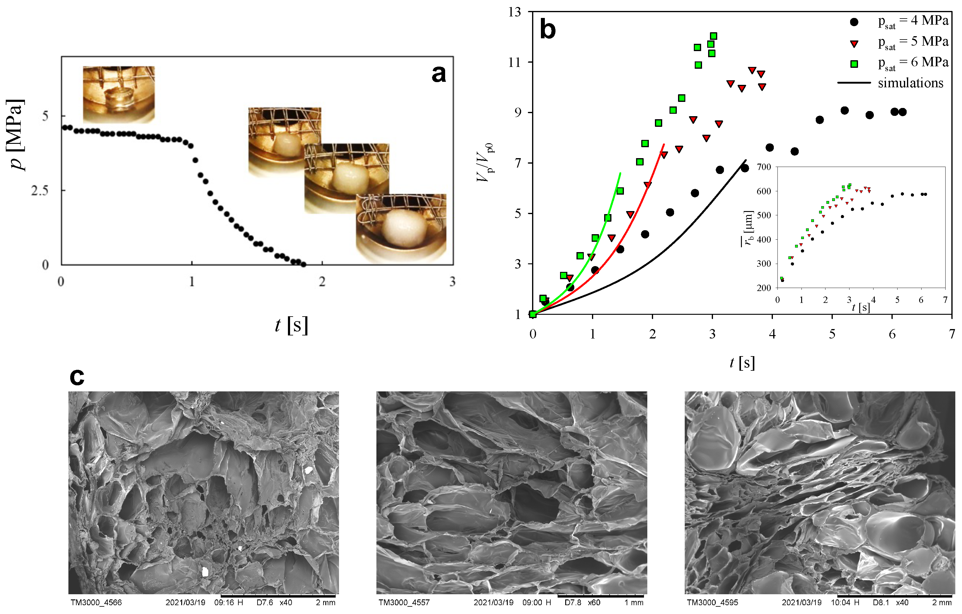 Entropy 24 00183 g003