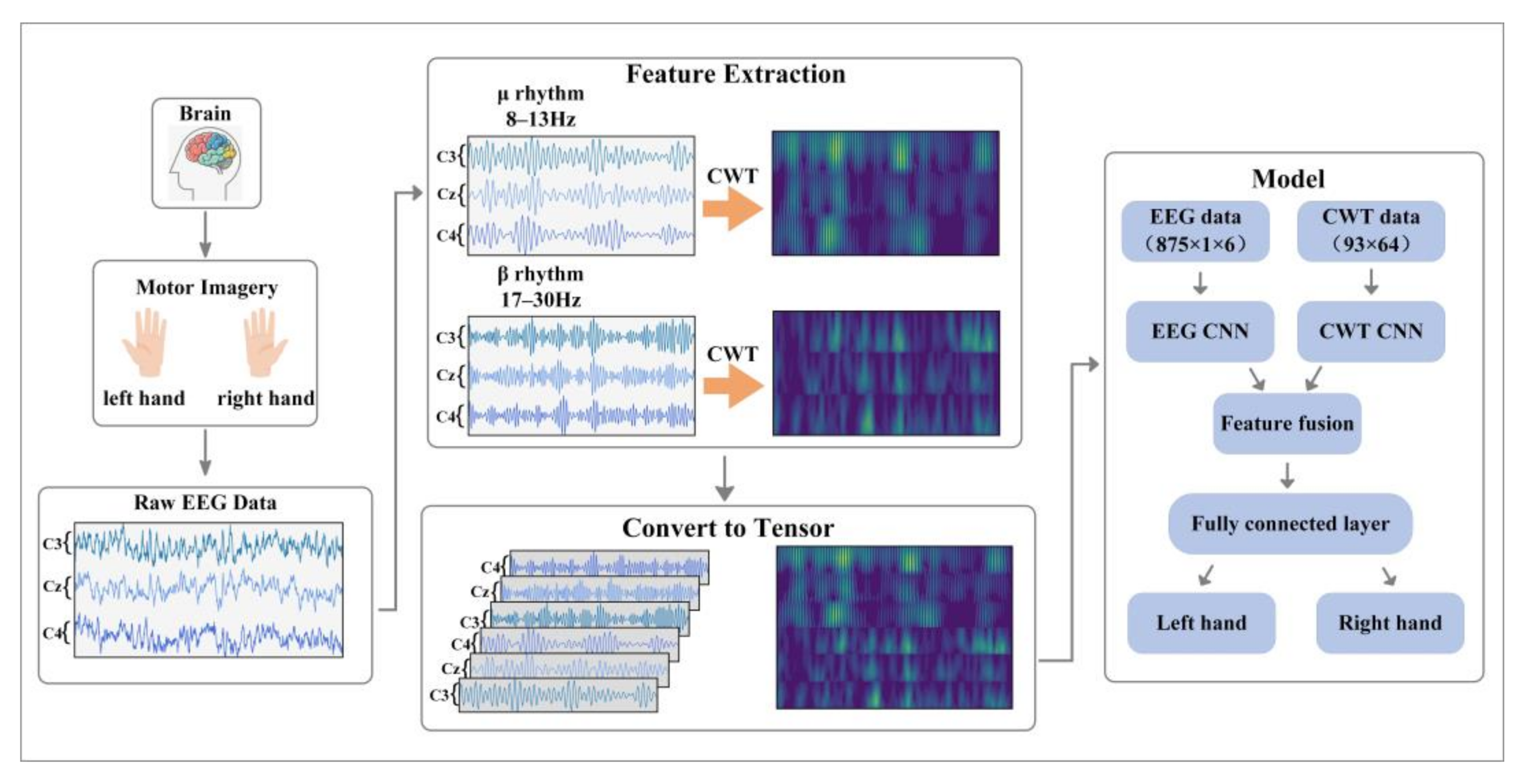 Entropy | Free Full-Text | A Two-Branch CNN Fusing Temporal and Frequency  Features for Motor Imagery EEG Decoding