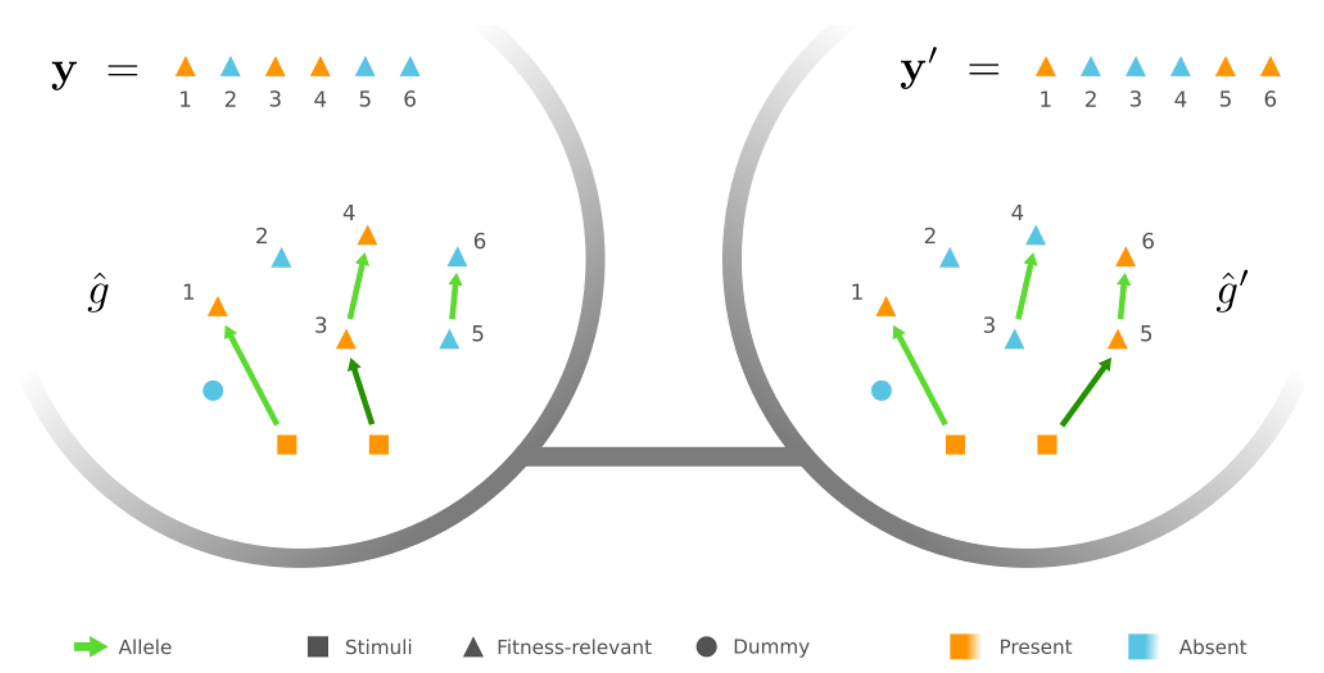 Entropy 24 00622 g003 Entropy 24 00622 g003