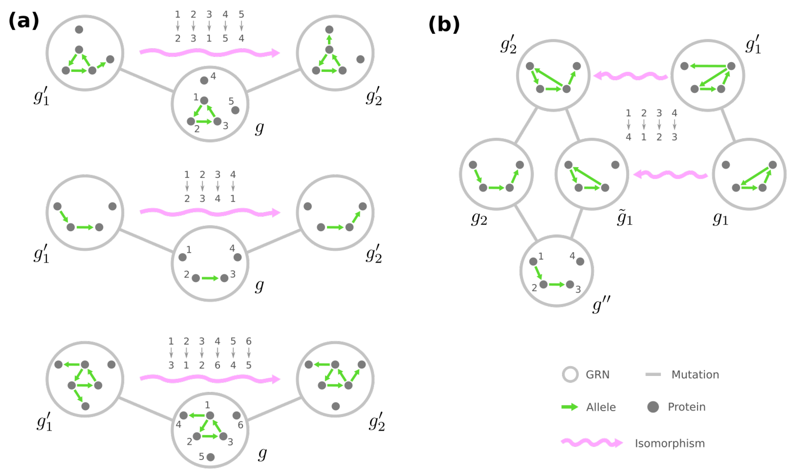 Entropy 24 00622 g009 Entropy 24 00622 g009
