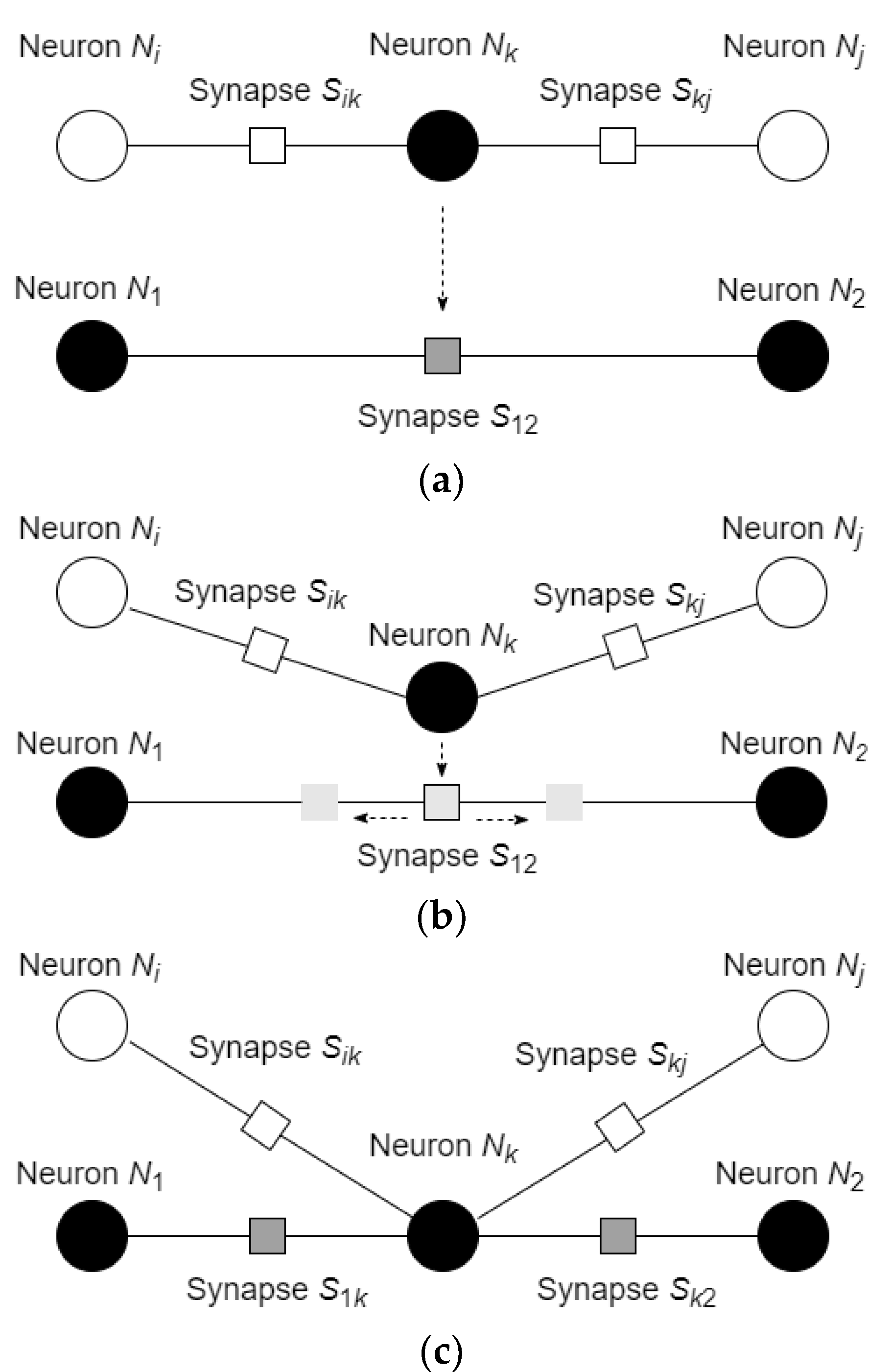 Entropy 24 00790 g005