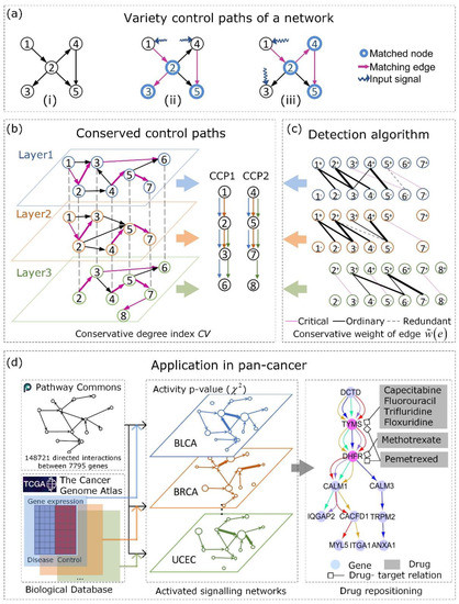 Entropy | Free Full-Text | Conserved Control Path in Multilayer