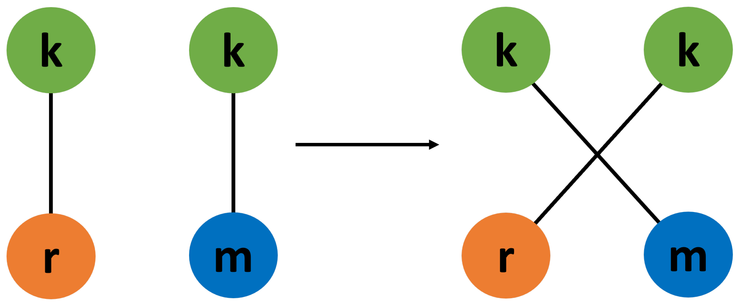 Entropy 24 01182 g003