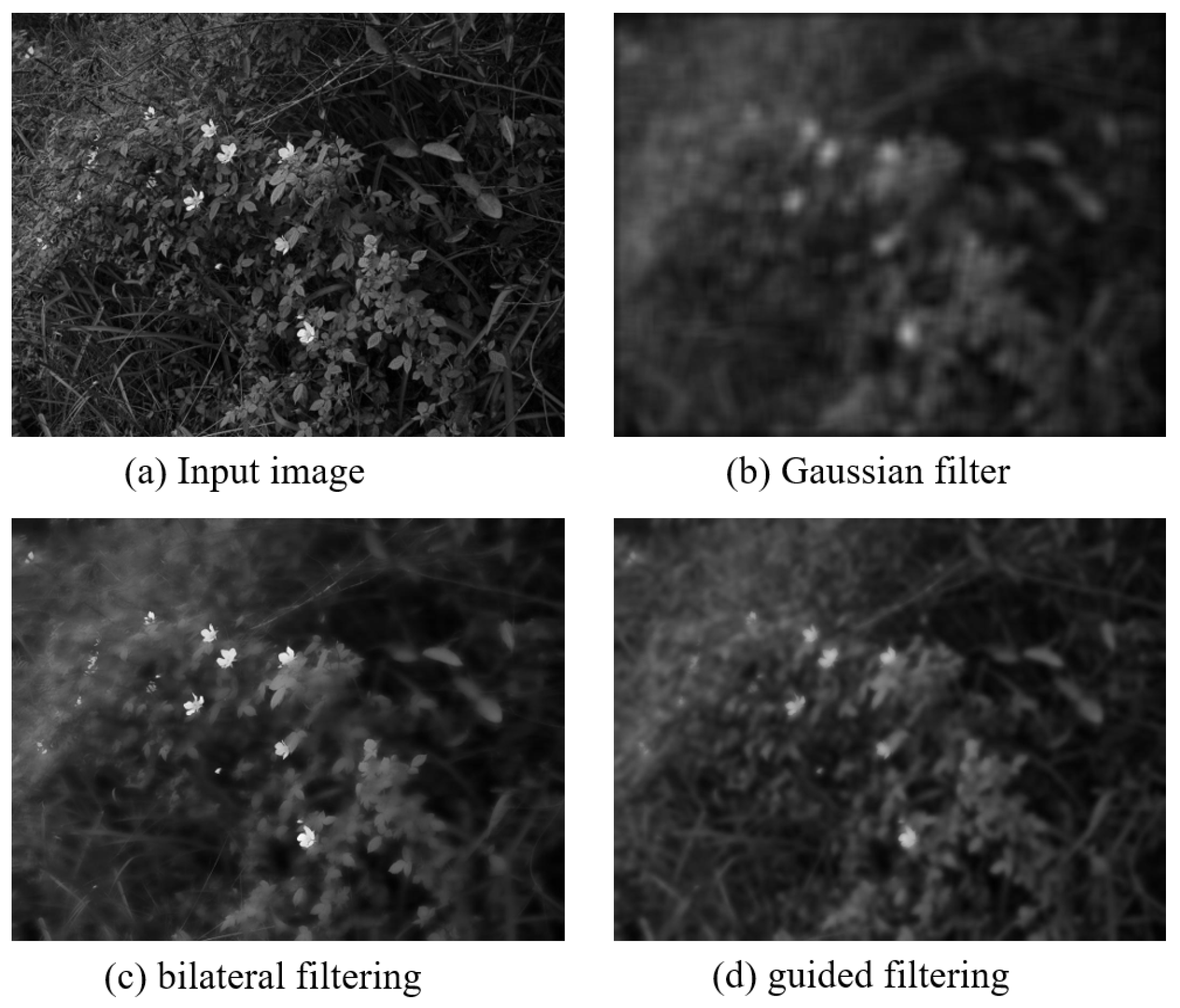 Entropy 24 01267 g004