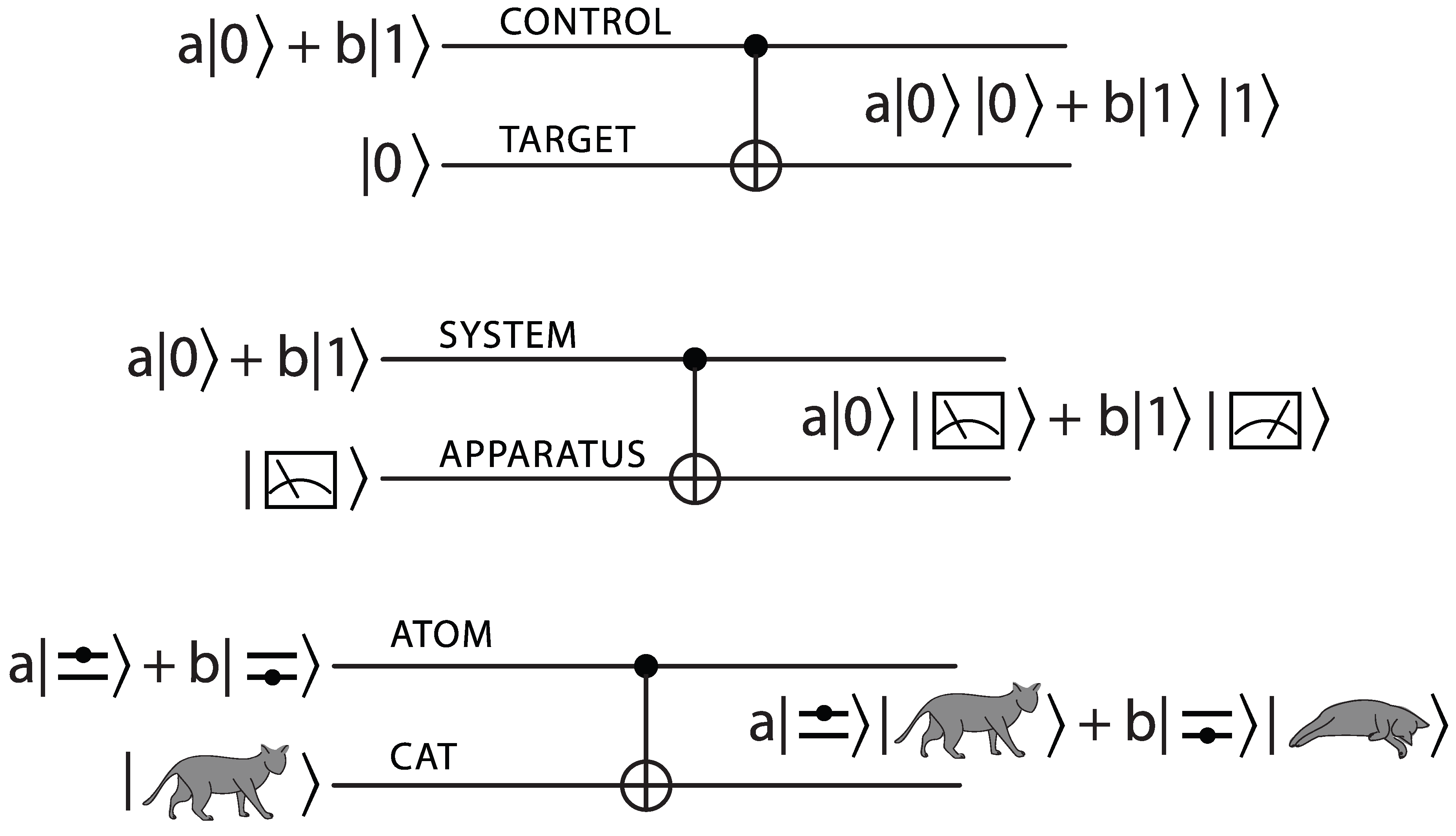 Quantum Chess – Rising Entropy