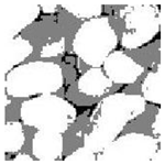 Entropy 24 01788 i008 Entropy 24 01788 i008