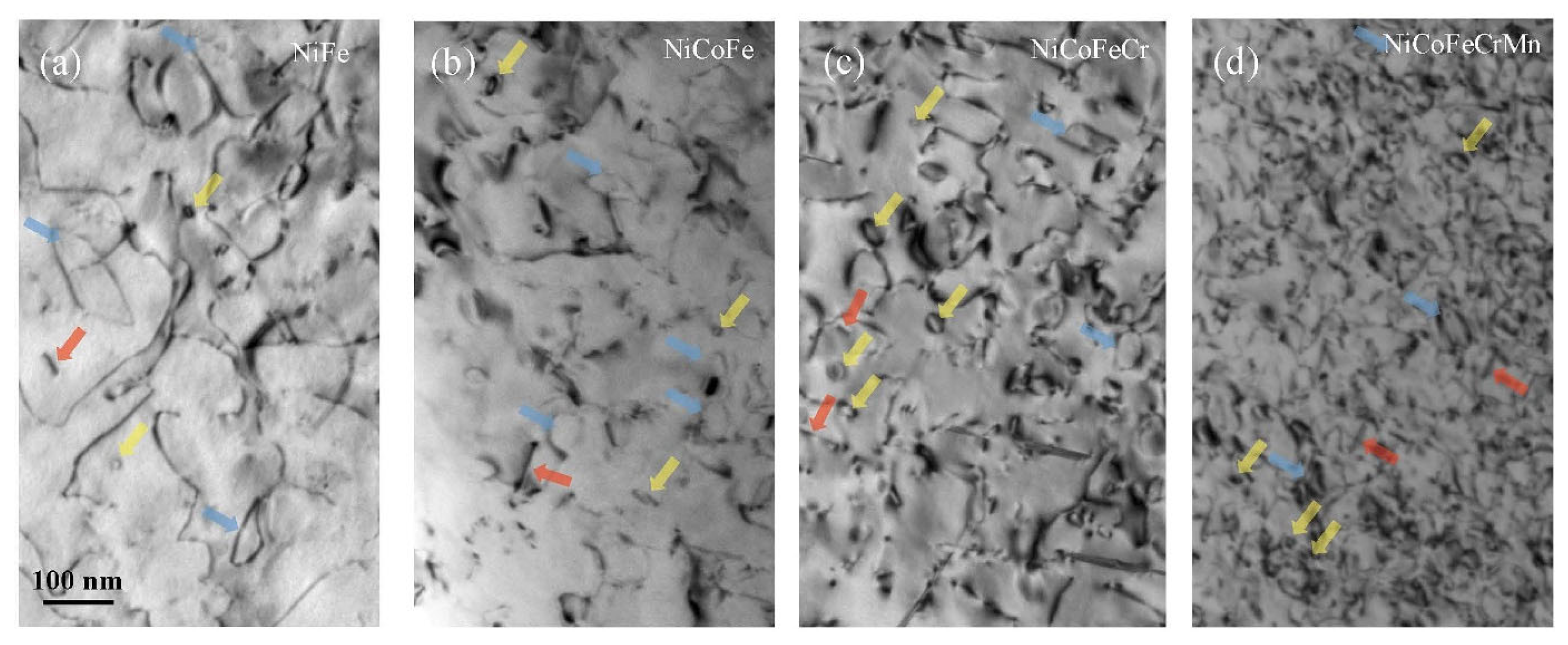 Entropy 25 00073 g008 Entropy 25 00073 g008