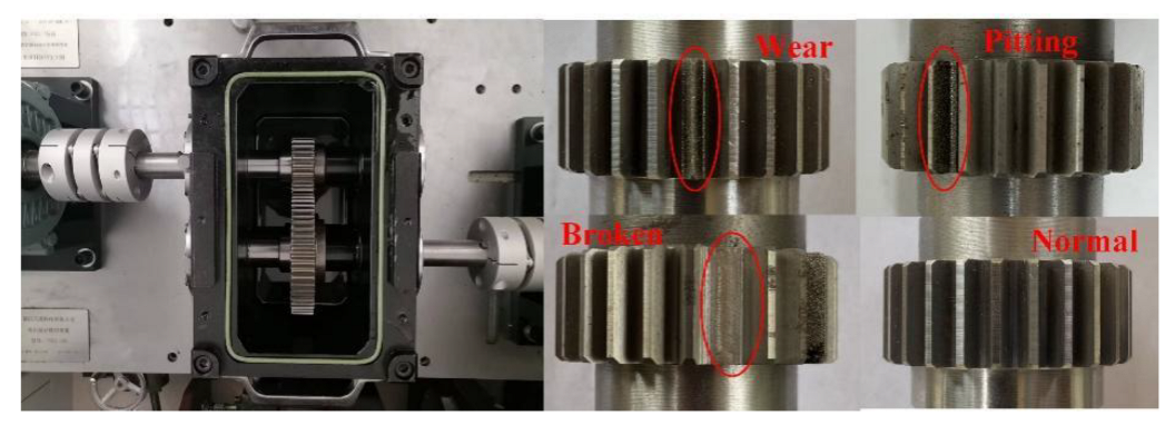 Entropy 25 00083 g005 Entropy 25 00083 g005