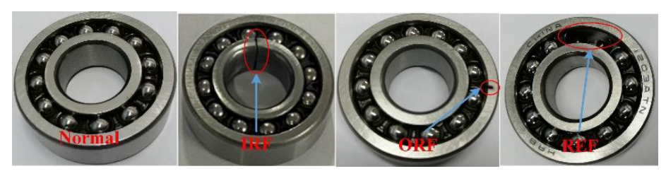 Entropy 25 00083 g006 Entropy 25 00083 g006