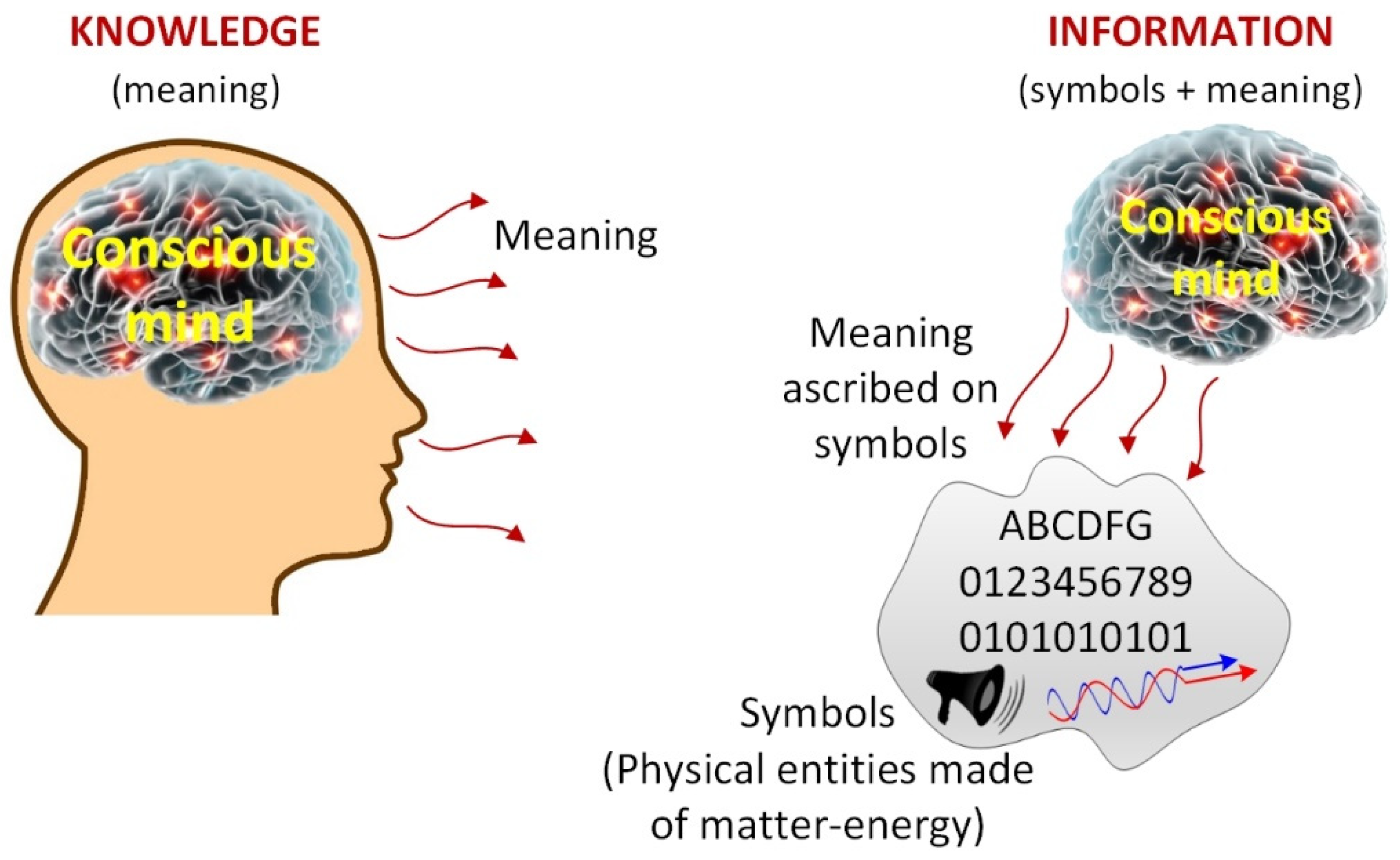 Brain Icon Graphic by Symbolic Language · Creative Fabrica