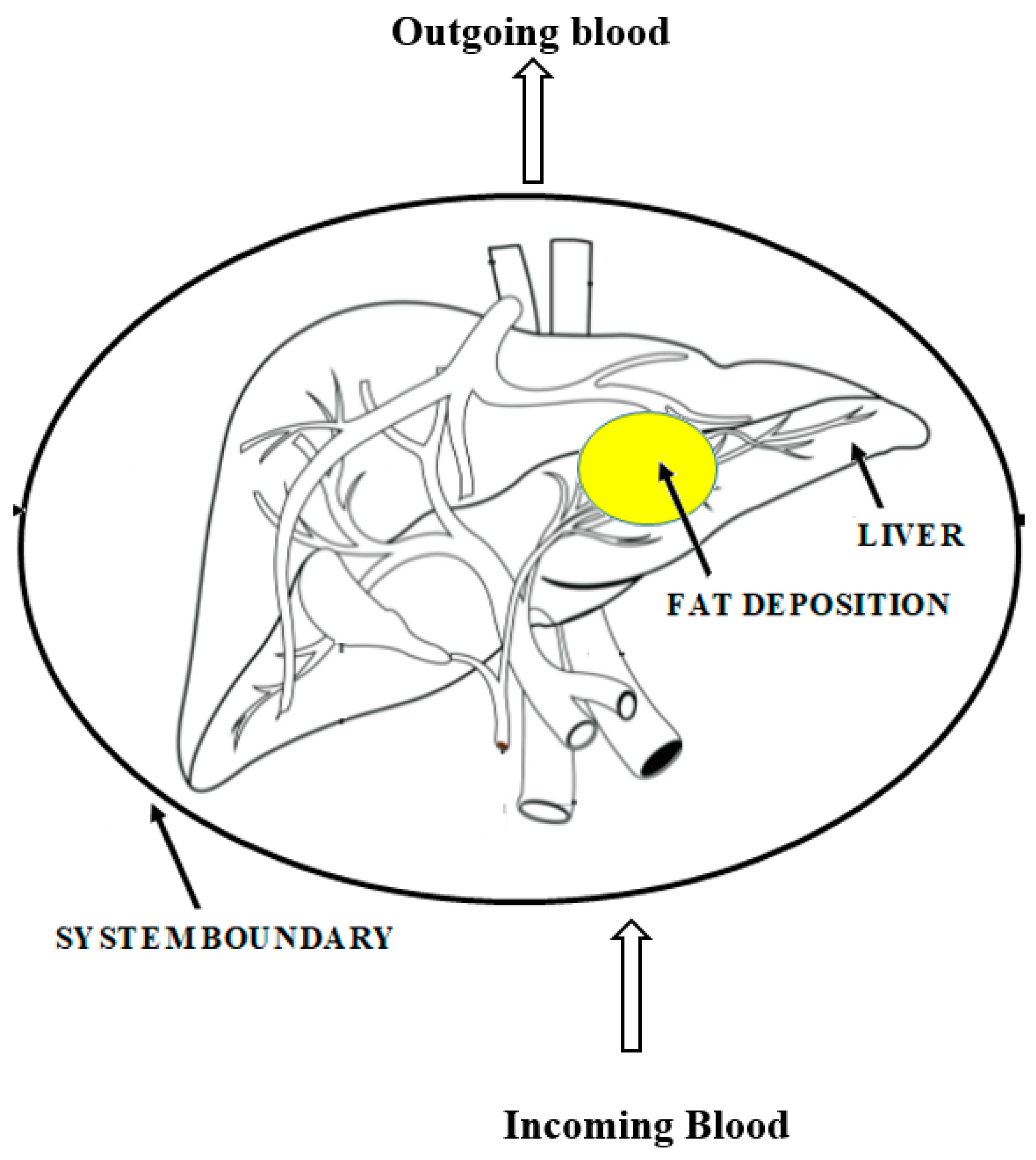 Entropy 25 00227 g002