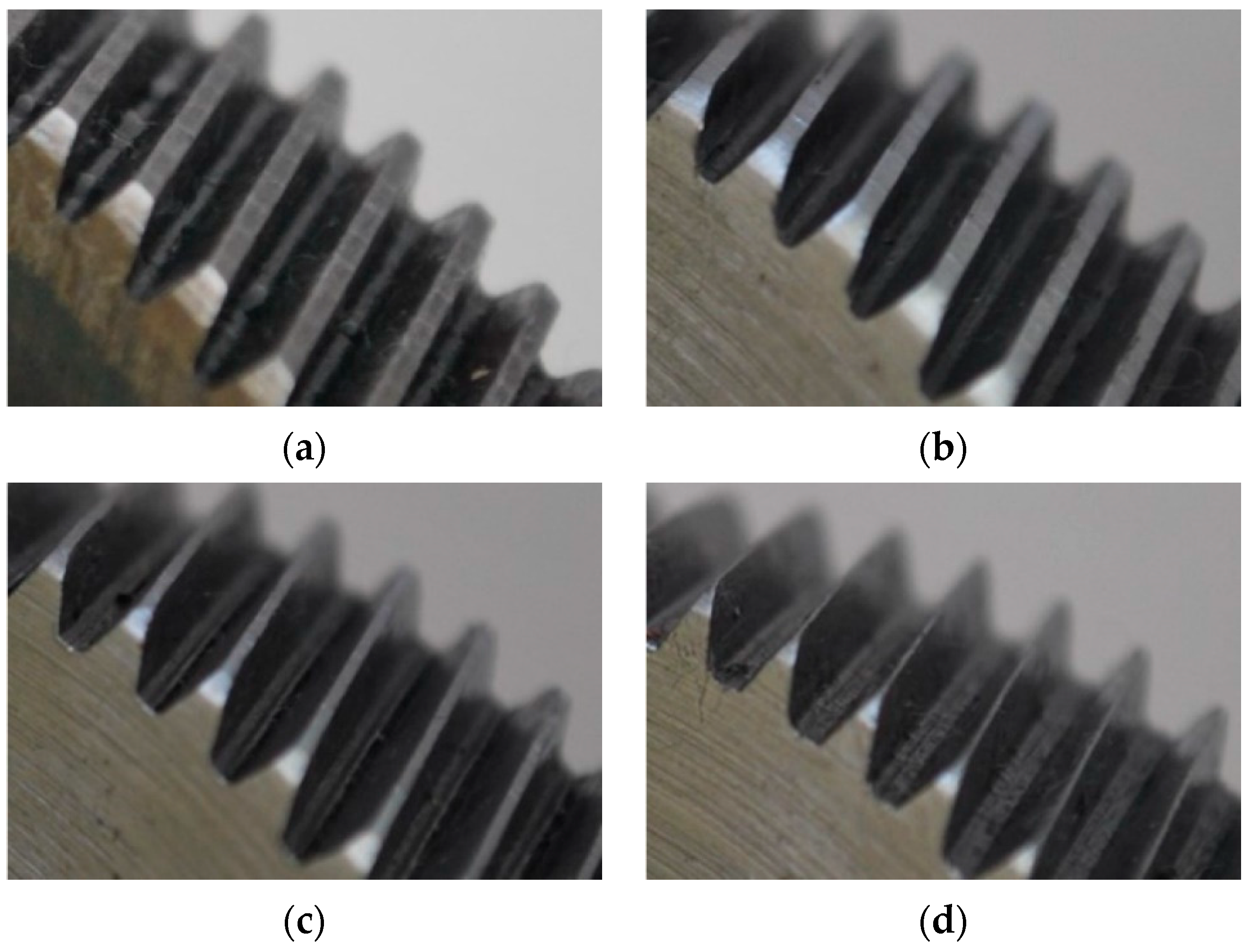 Entropy 25 00424 g004