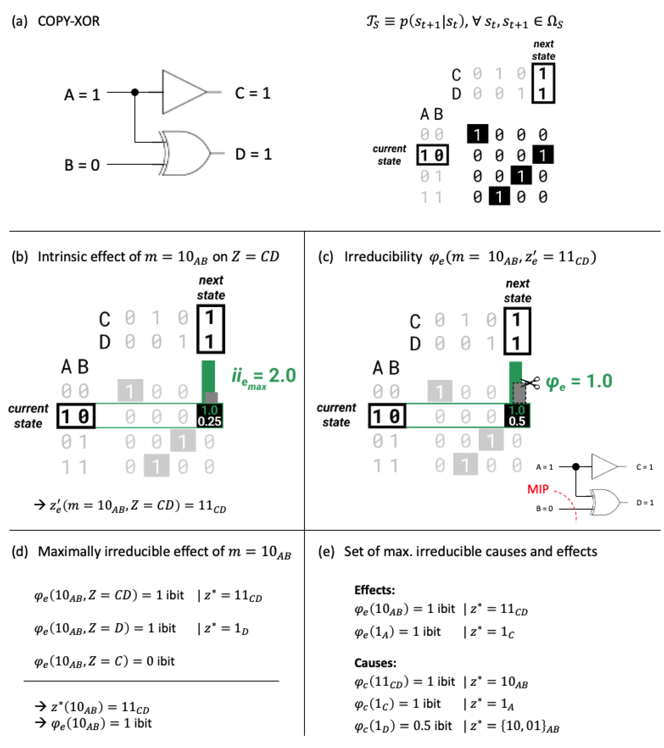 Entropy 25 00449 g001