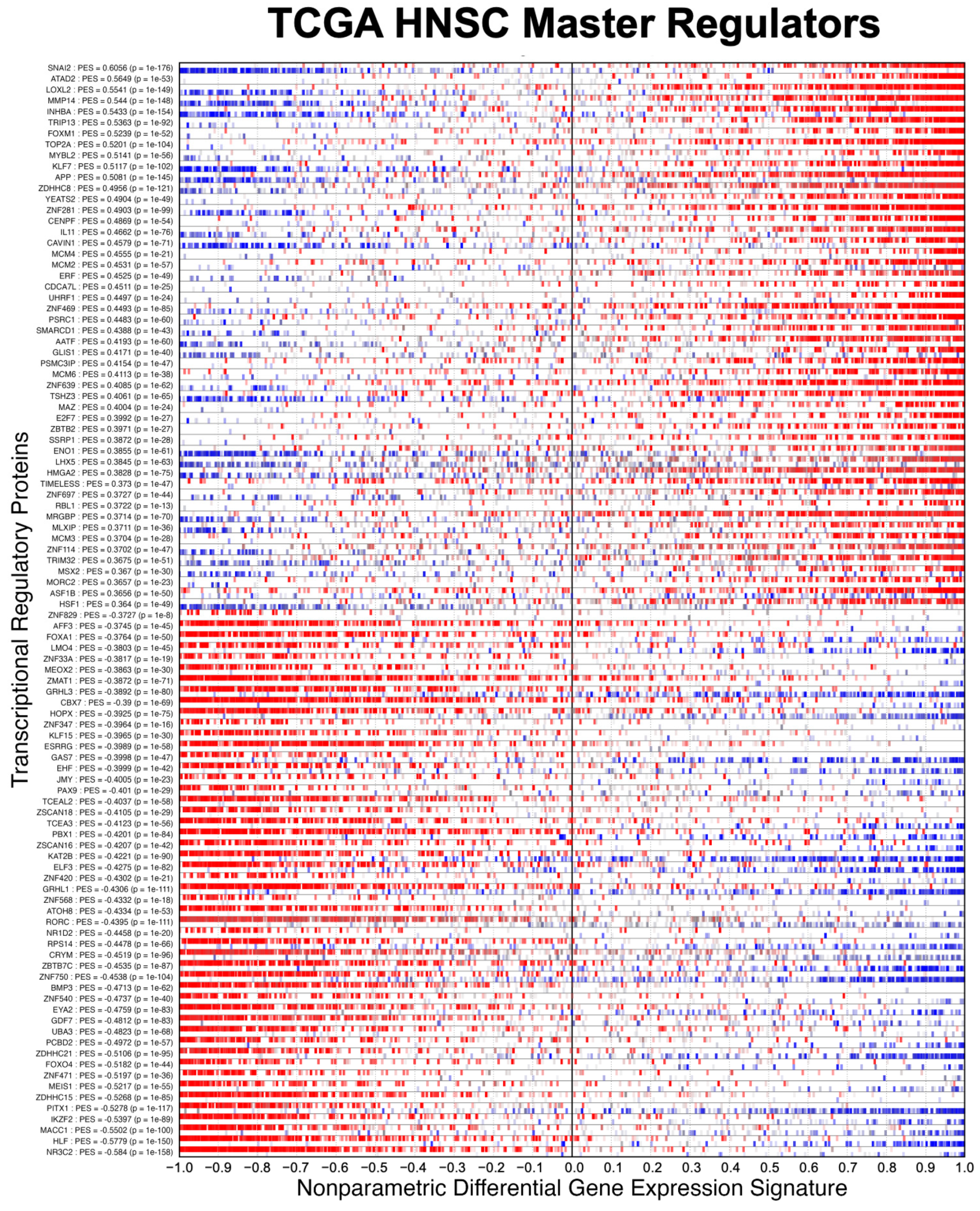 Entropy 25 00542 g006 Entropy 25 00542 g006
