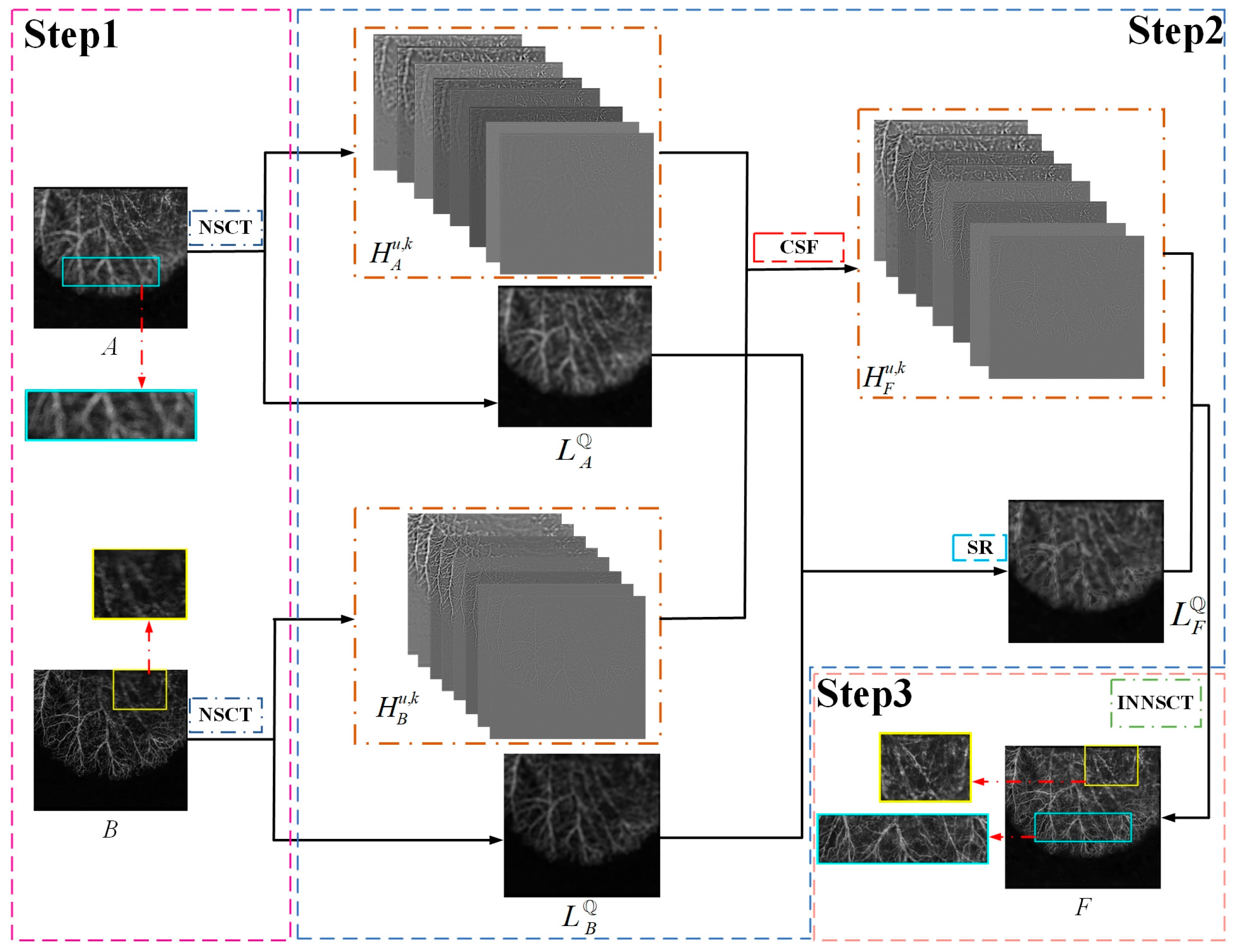 Entropy 25 00951 g002