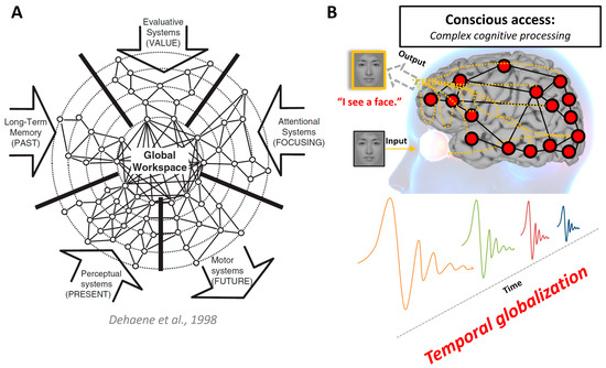 Geometry of the brain, dimensions of the mind, Michigan Neuroscience  Institute, Michigan Medicine