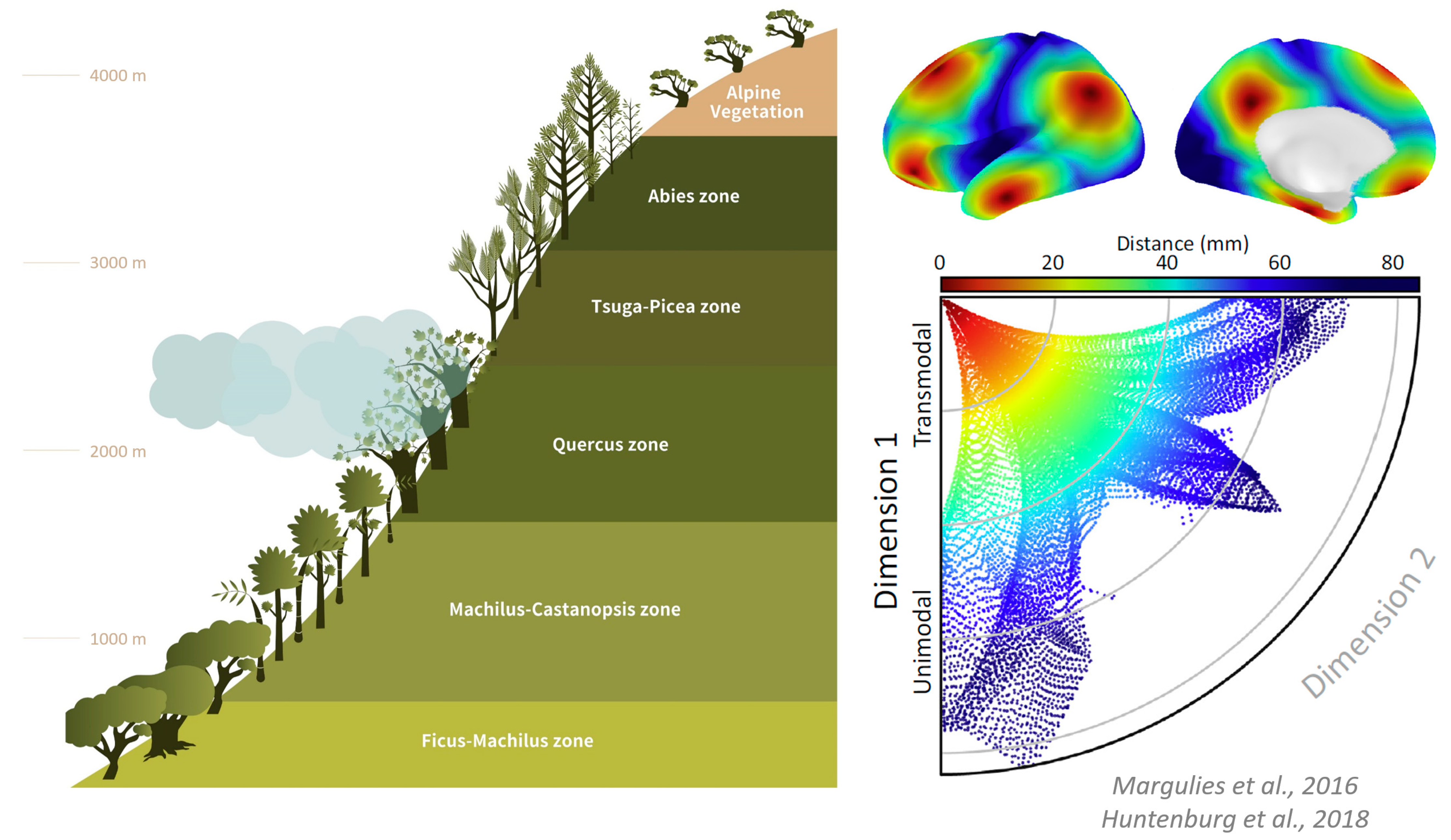 Entropy 25 01074 g005