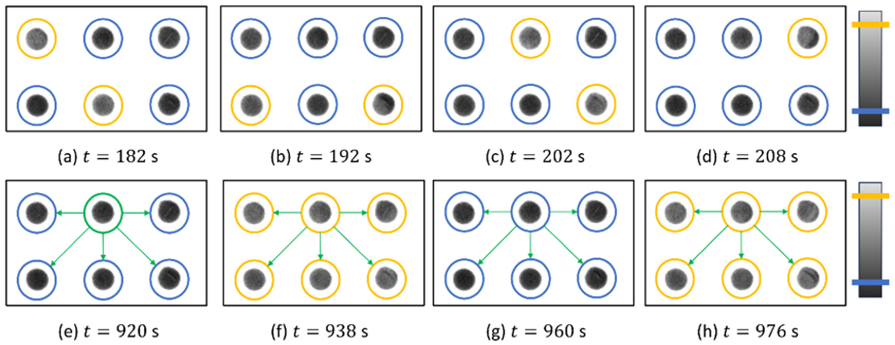 Entropy 26 00475 g008