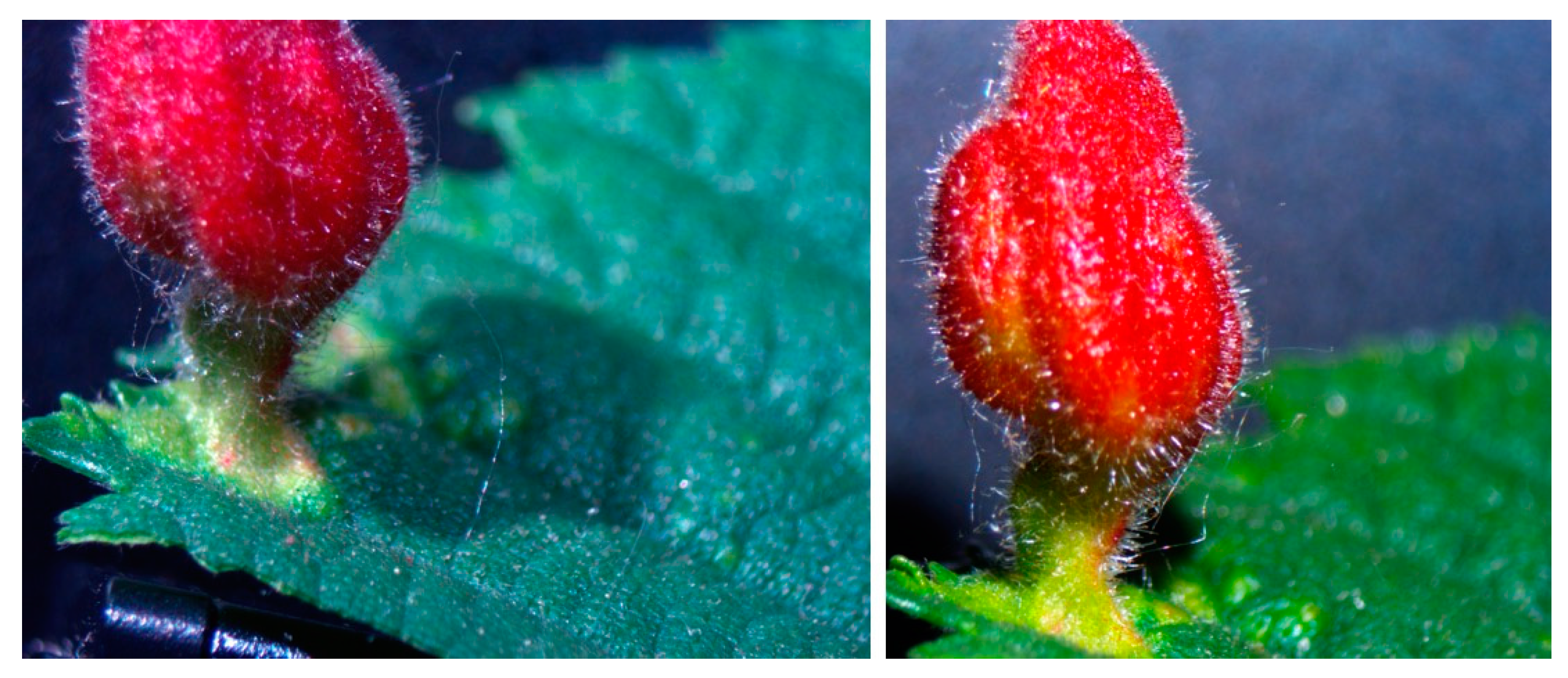 Entropy 26 00481 g005