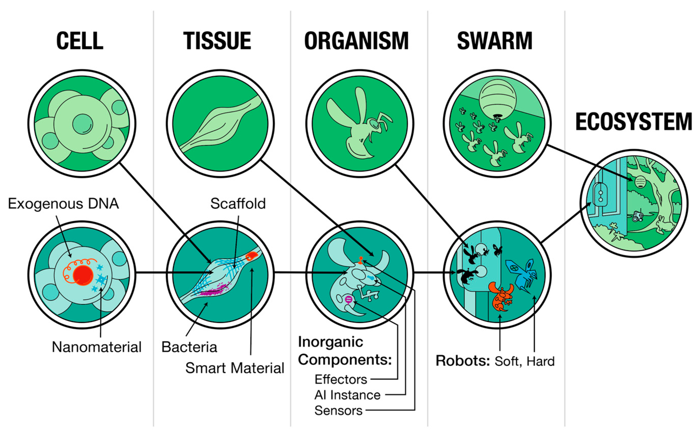 Entropy 26 00481 g006