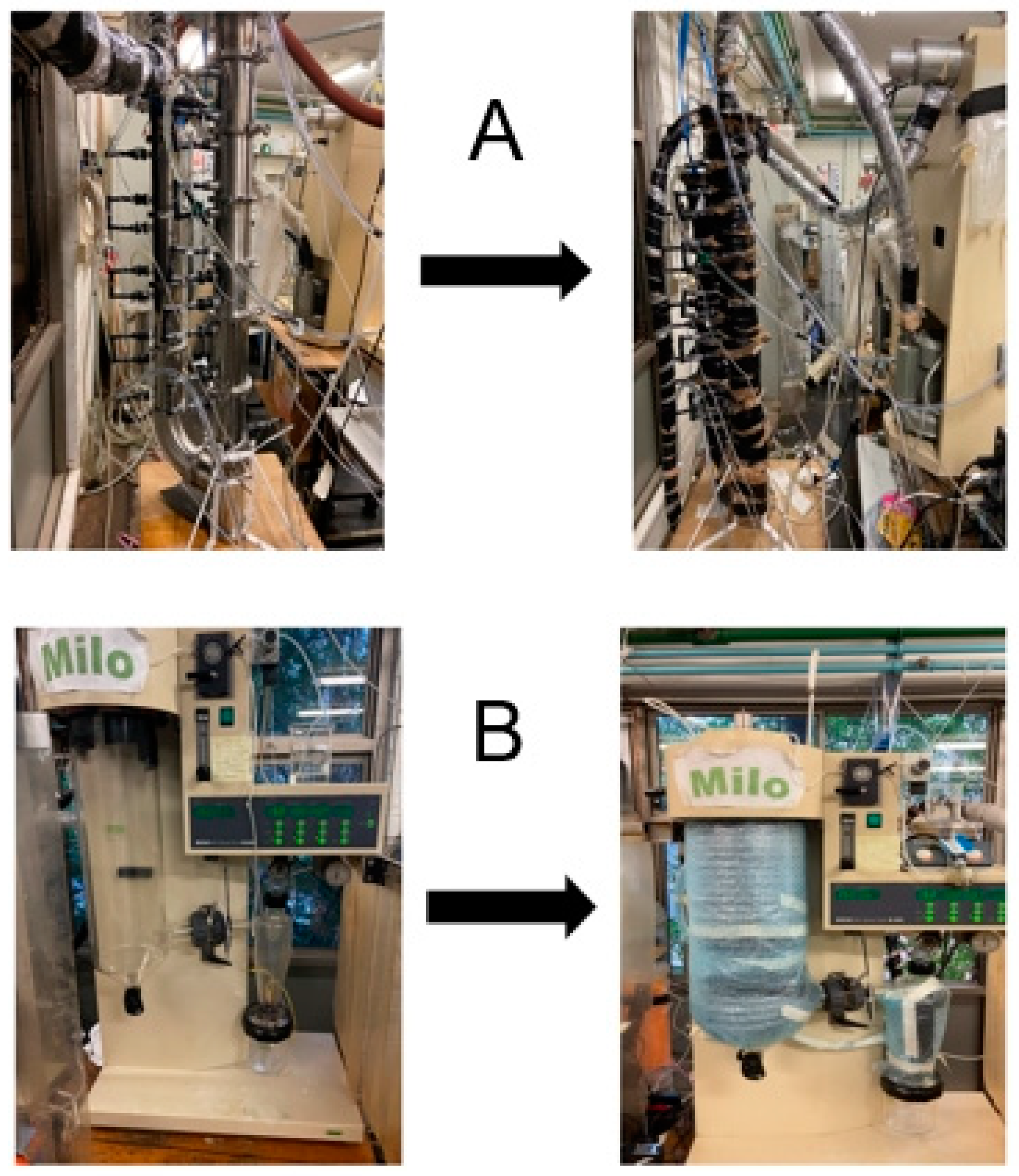 Entropy 26 00809 g002