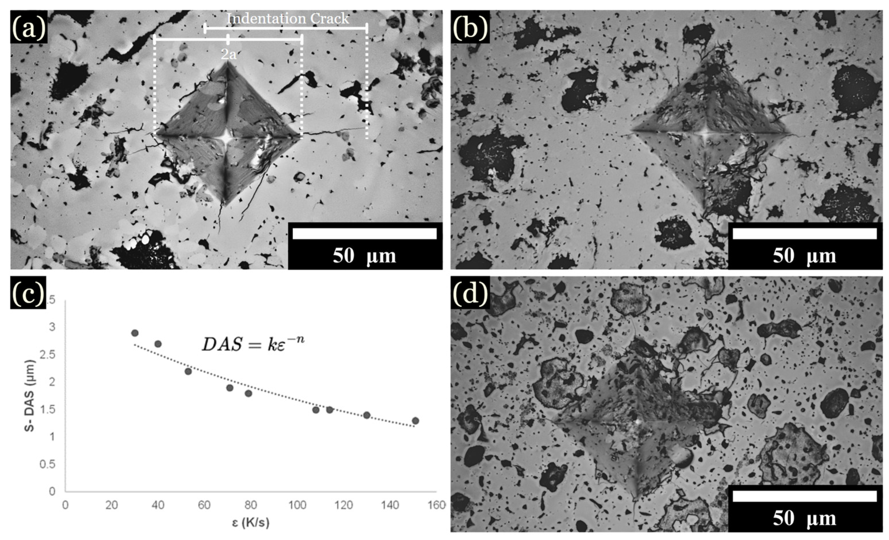 Entropy 26 00826 g008