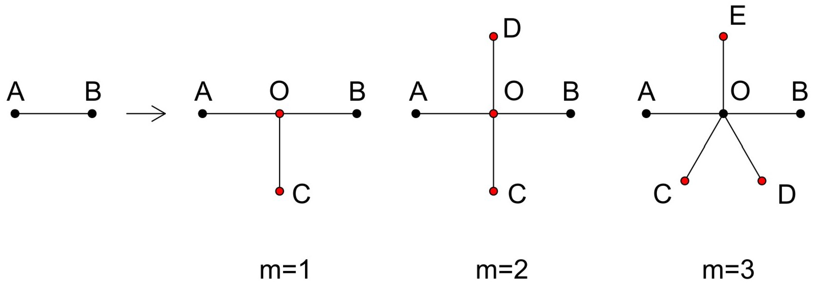 Entropy 26 01034 g001 Entropy 26 01034 g001