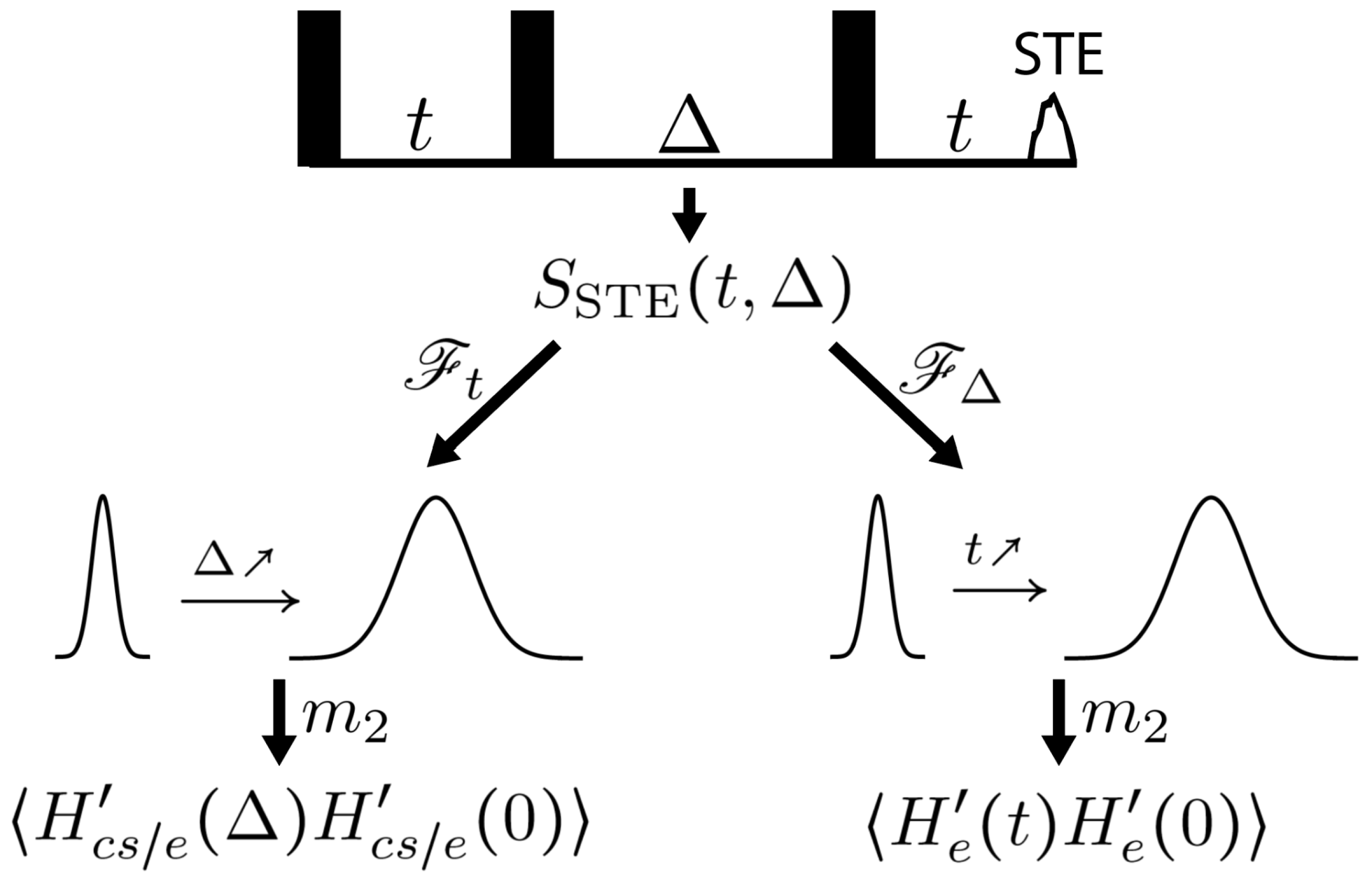 Entropy 26 01077 g004
