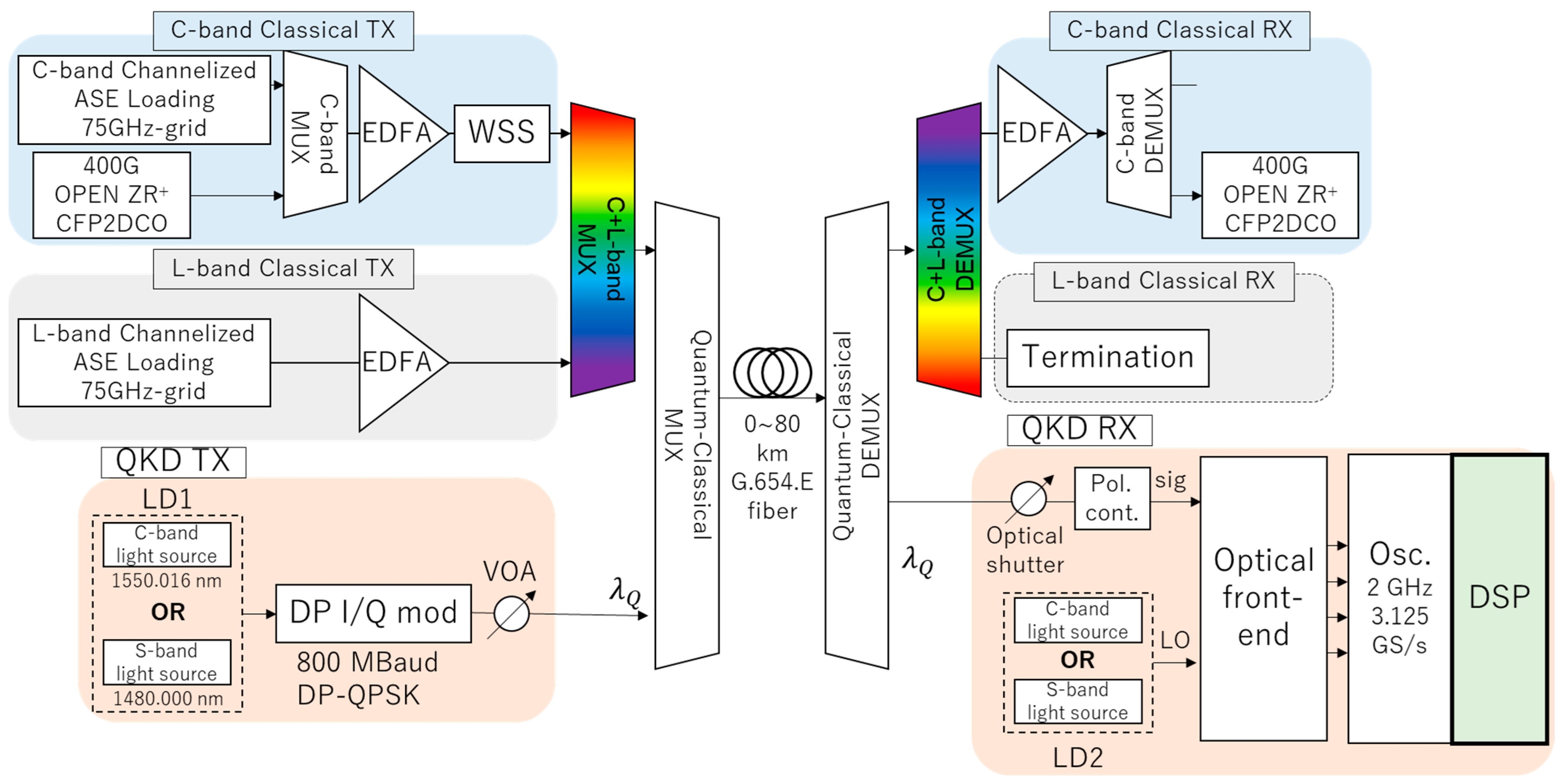 Entropy 27 00045 g001