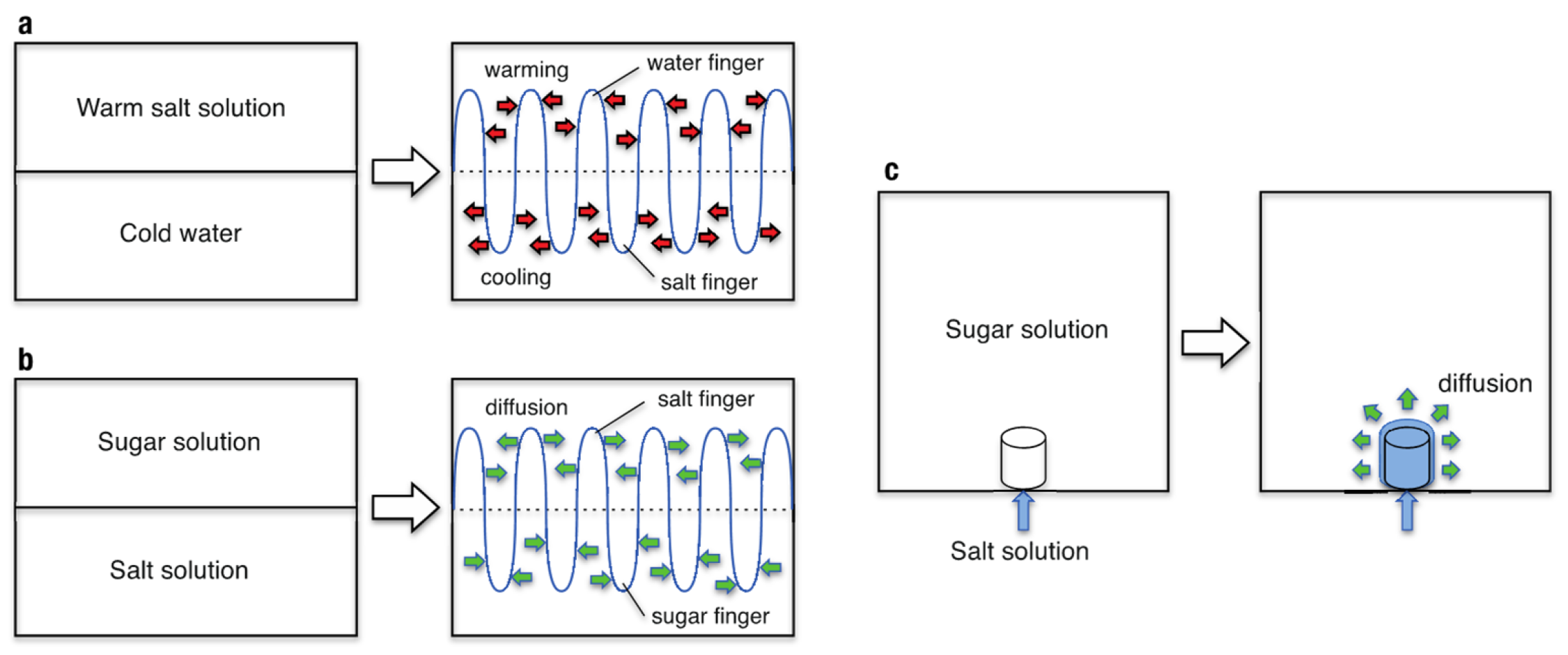 Entropy 27 00106 g001