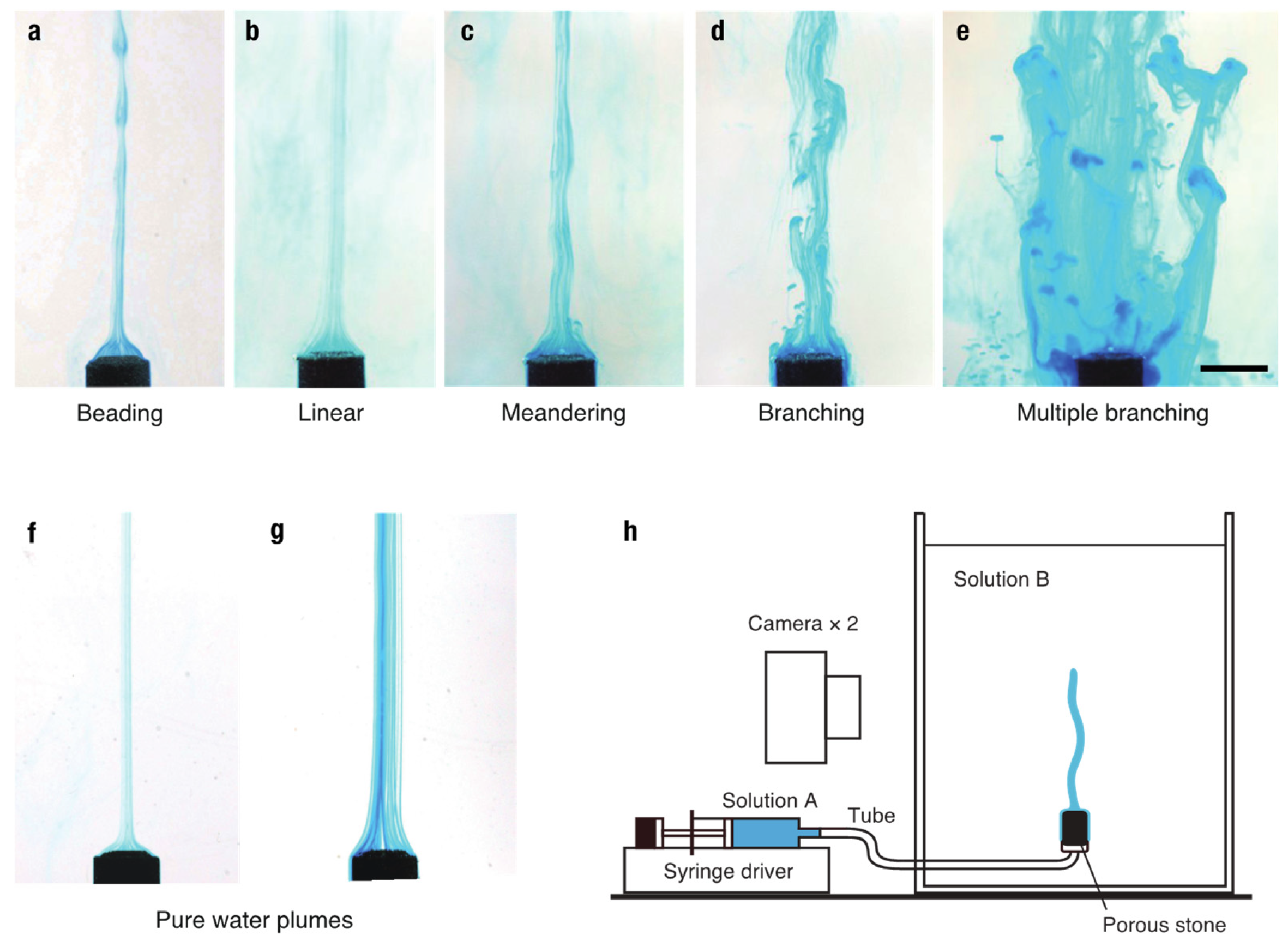 Entropy 27 00106 g002