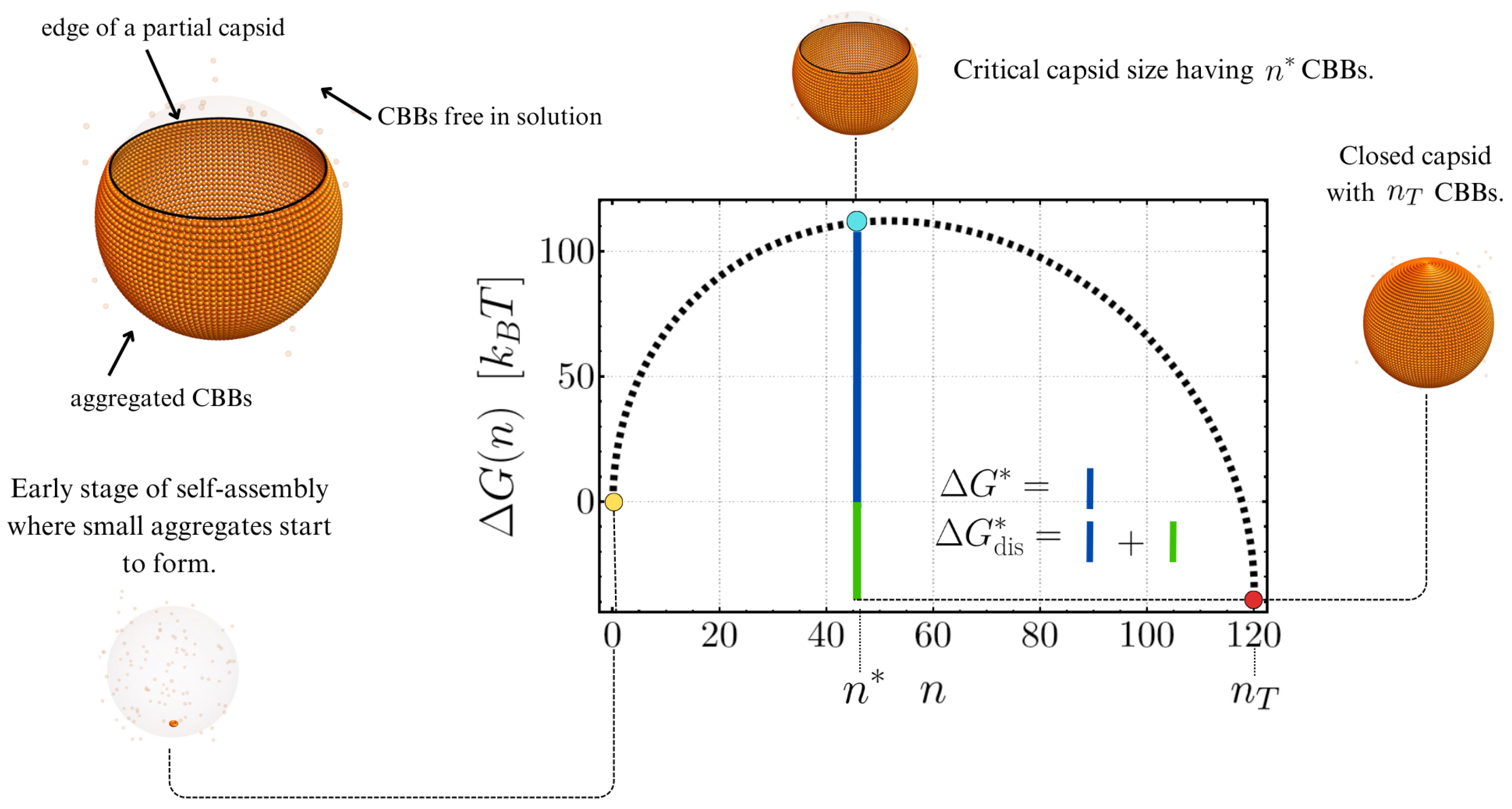 Entropy 27 00281 g001
