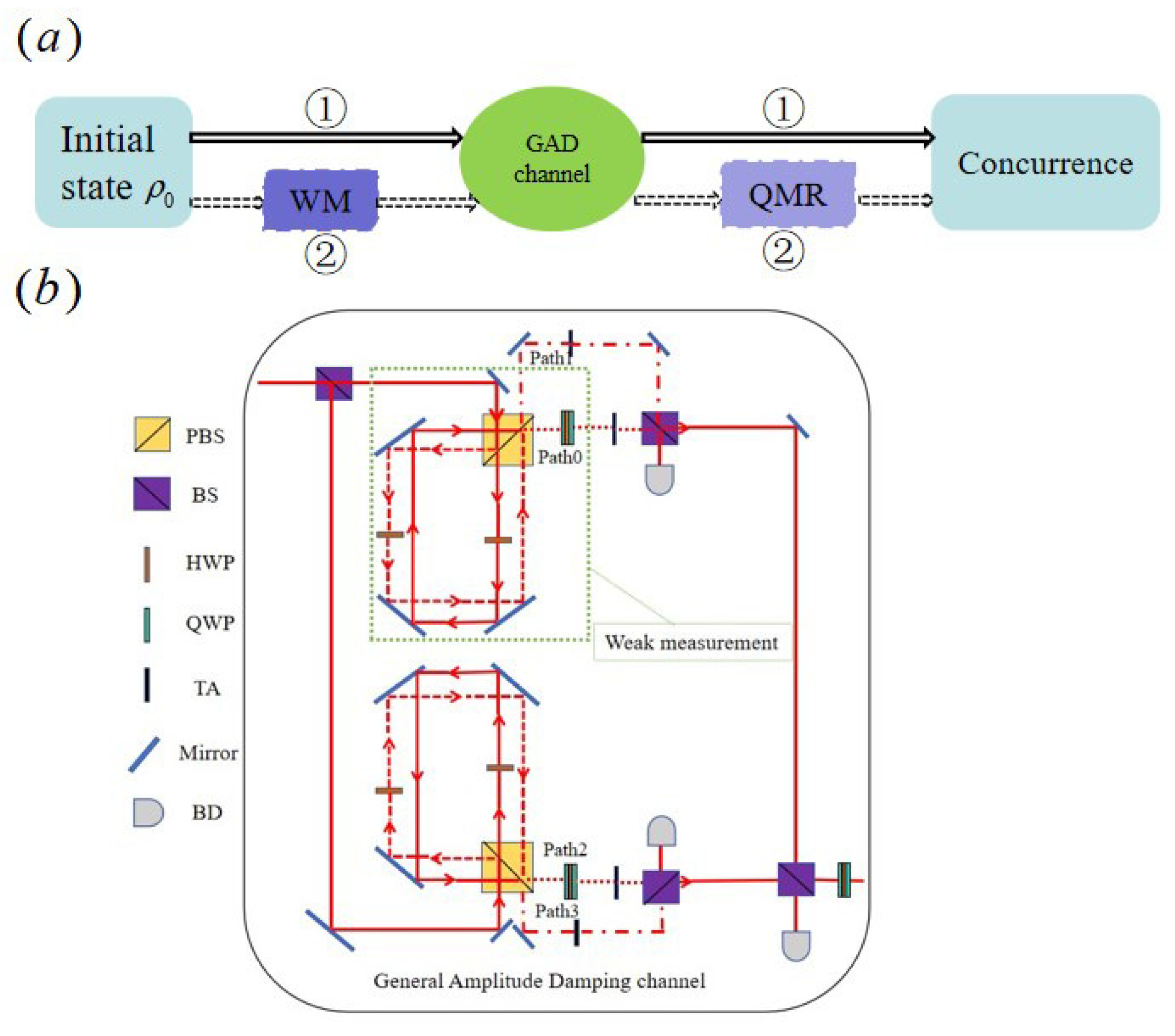 Entropy 27 00350 g001