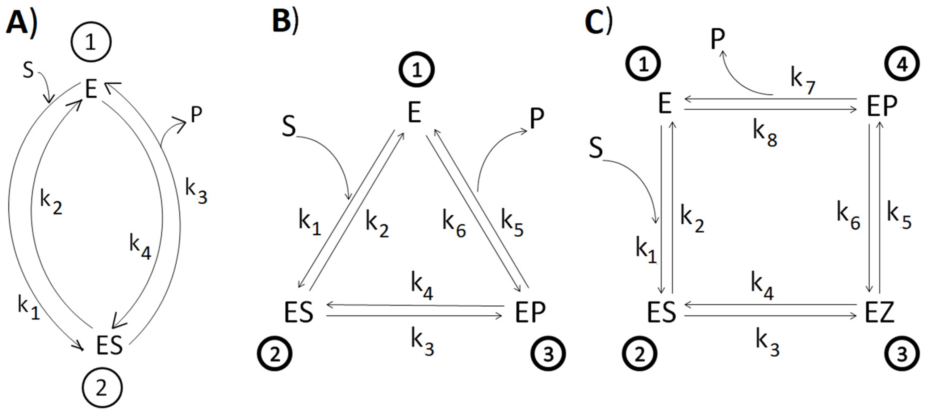 Entropy 27 00365 g001