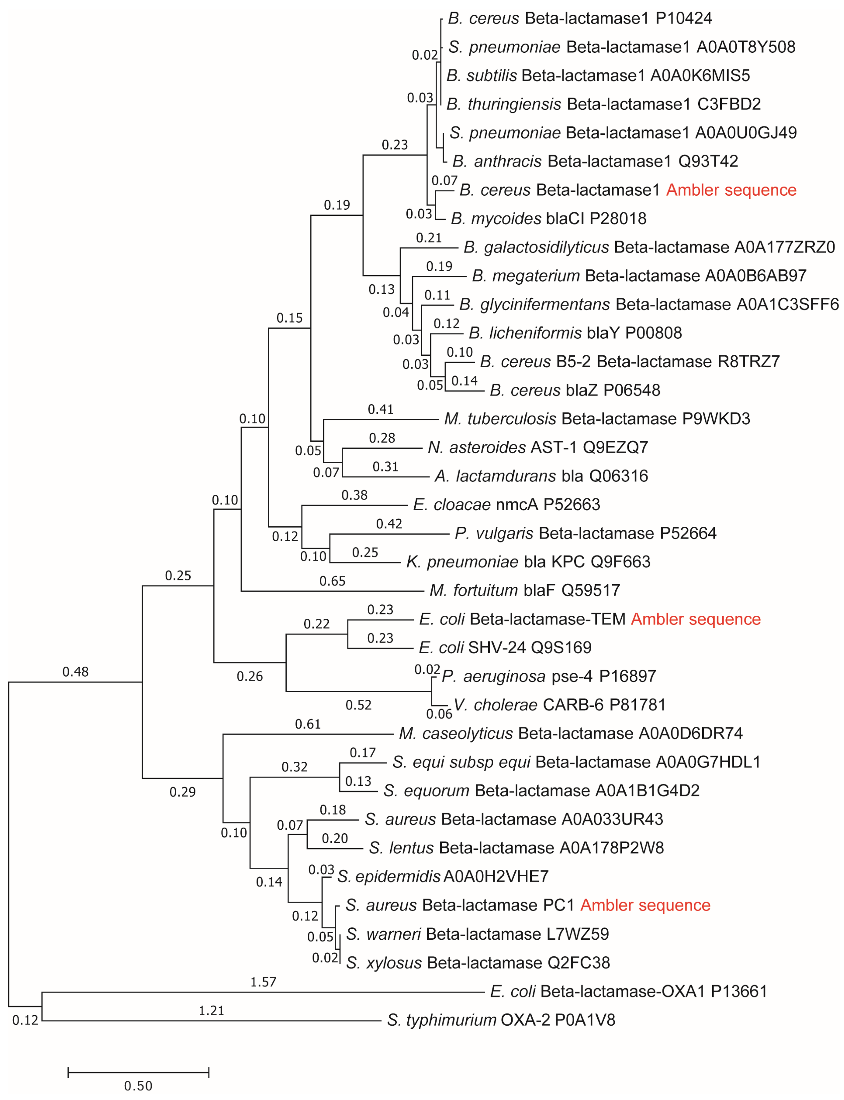 Entropy 27 00365 g004