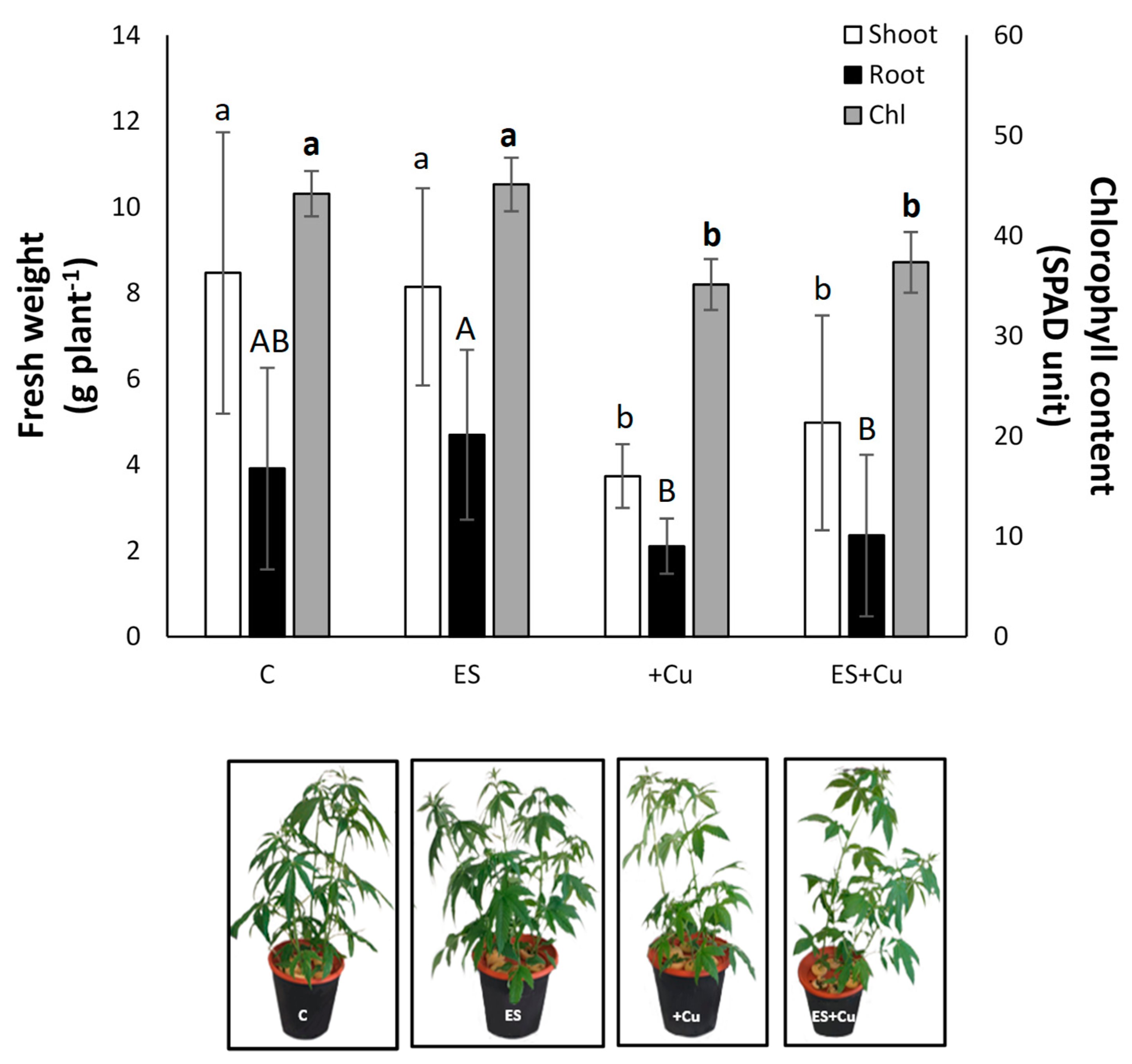 Environments 08 00111 g001