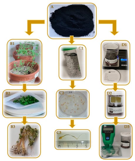 https://www.mdpi.com/environments/environments-08-00128/article_deploy/html/images/environments-08-00128-g001-550.jpg