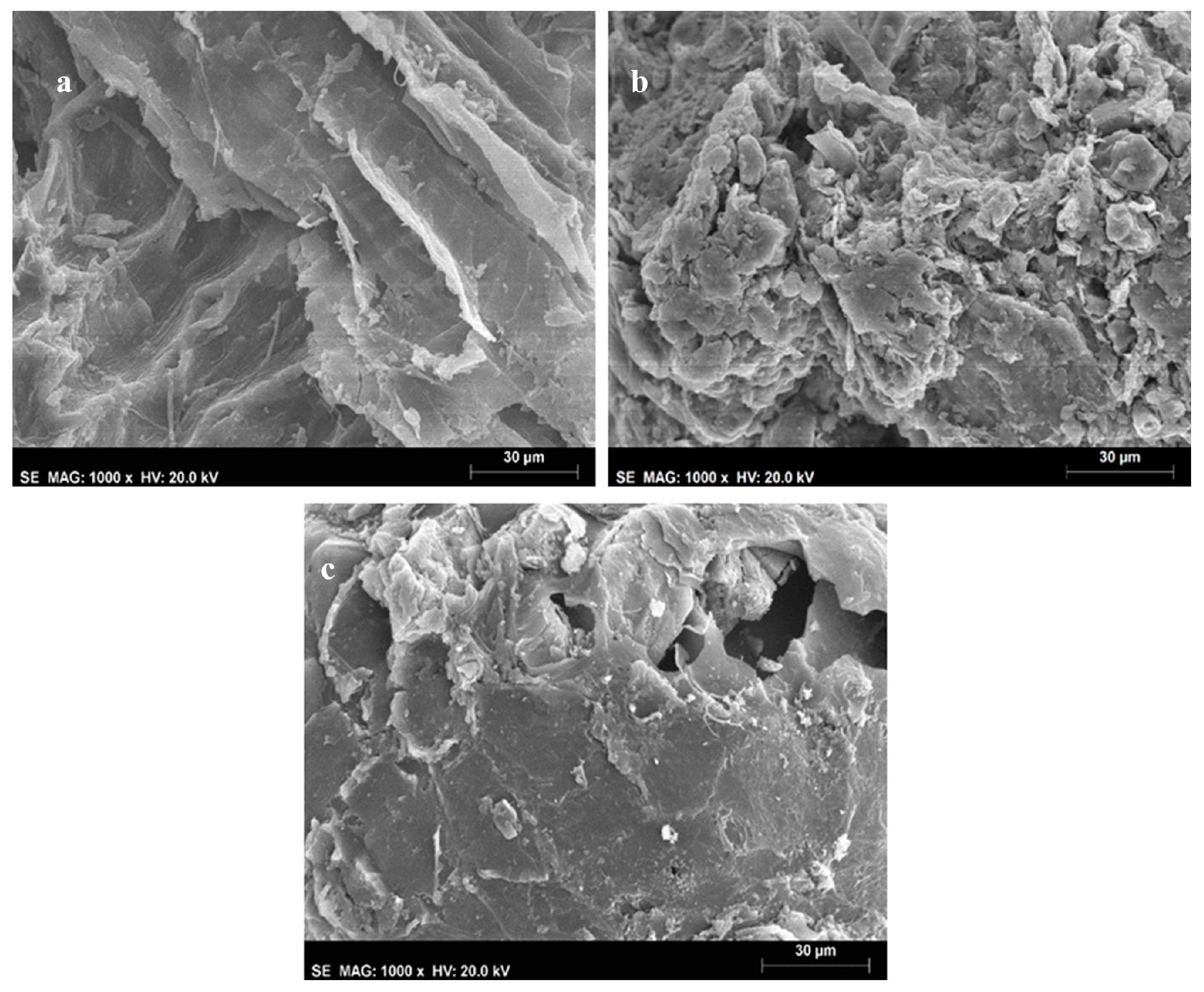 Environments 11 00002 g002